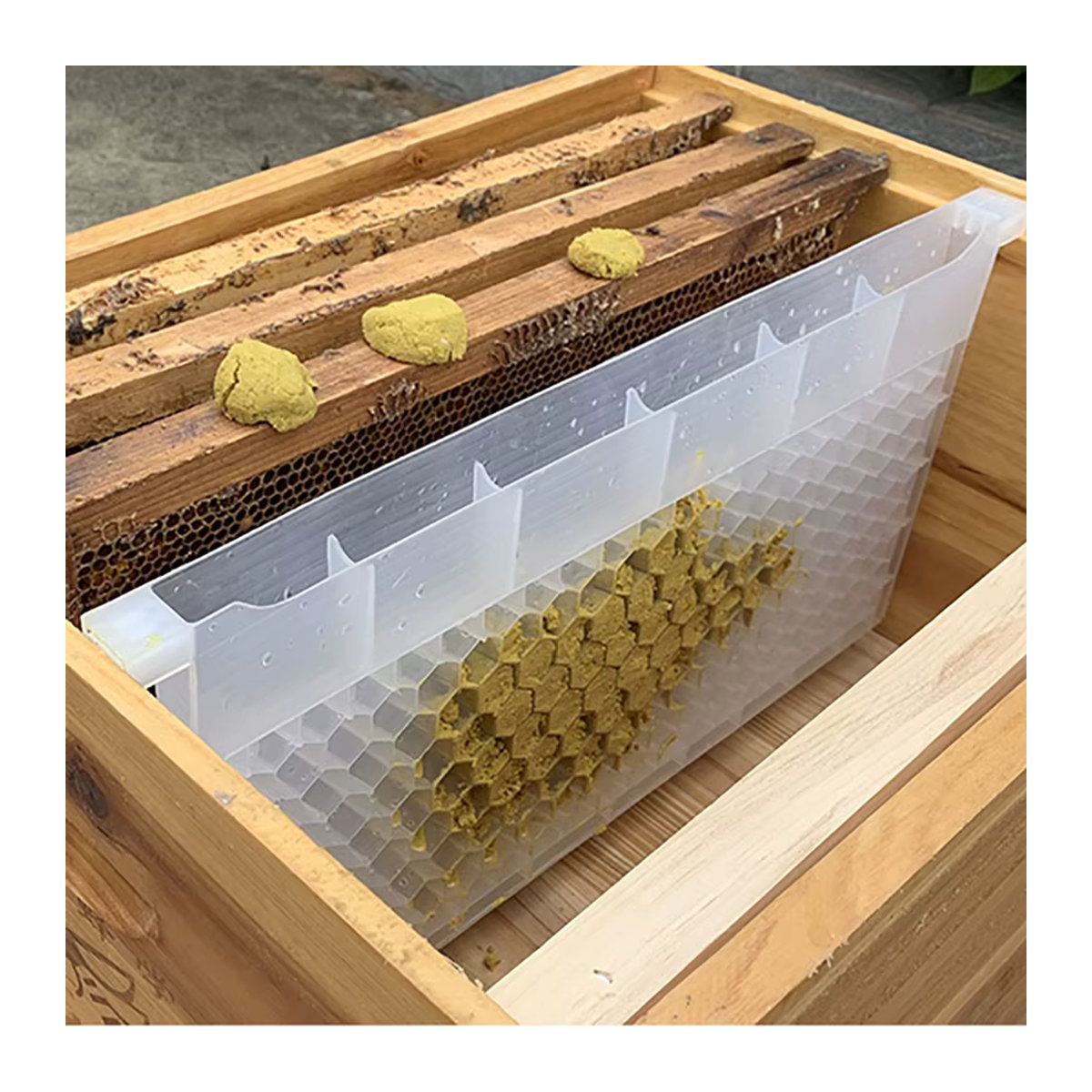 Pledge Agro Bienenfütterung Box aus porösem Kunststoff für Honig und Zucker, 2er-Set - Bild 2