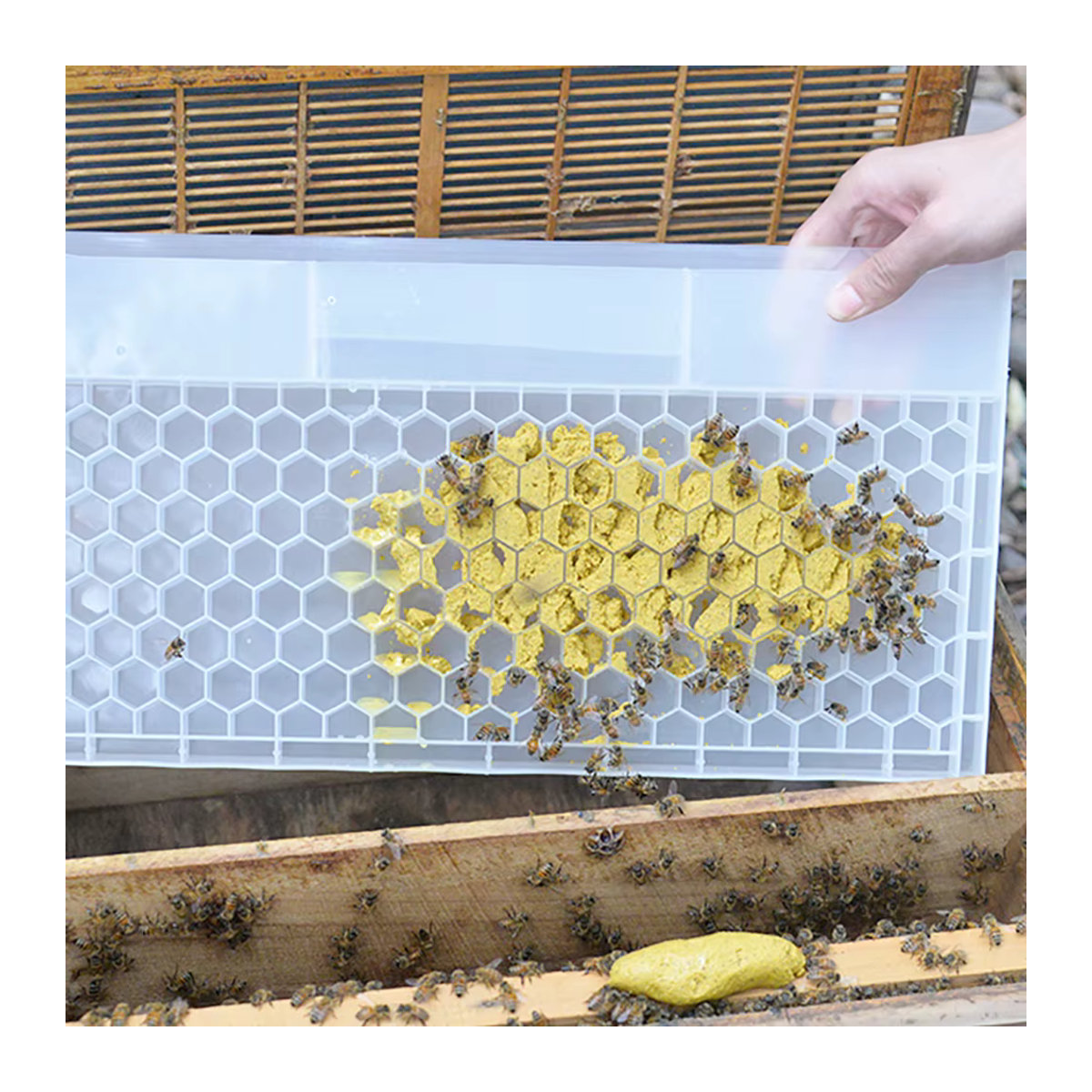 Pledge Agro Bienenfütterung Box aus porösem Kunststoff für Honig und Zucker, 2er-Set - Bild 3