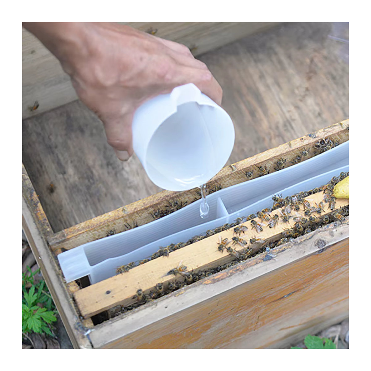 Pledge Agro Bienenfütterung Box aus porösem Kunststoff für Honig und Zucker, 2er-Set - Bild 4