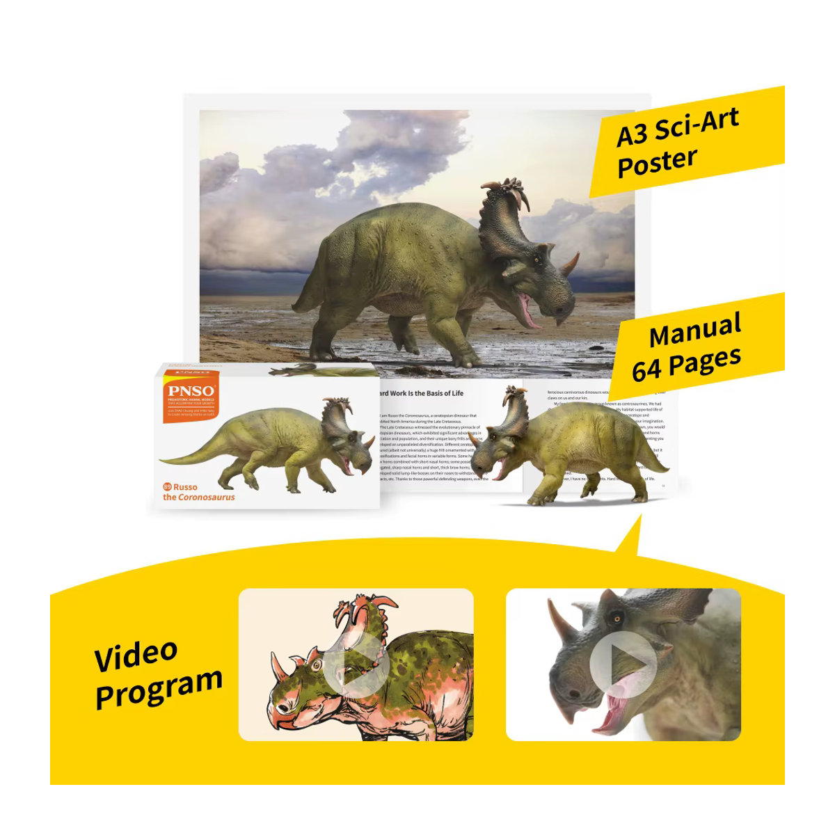 PNSO Prähistorisches Dinosauriermodell Coronosaurus Russo in Grün - Bild 2