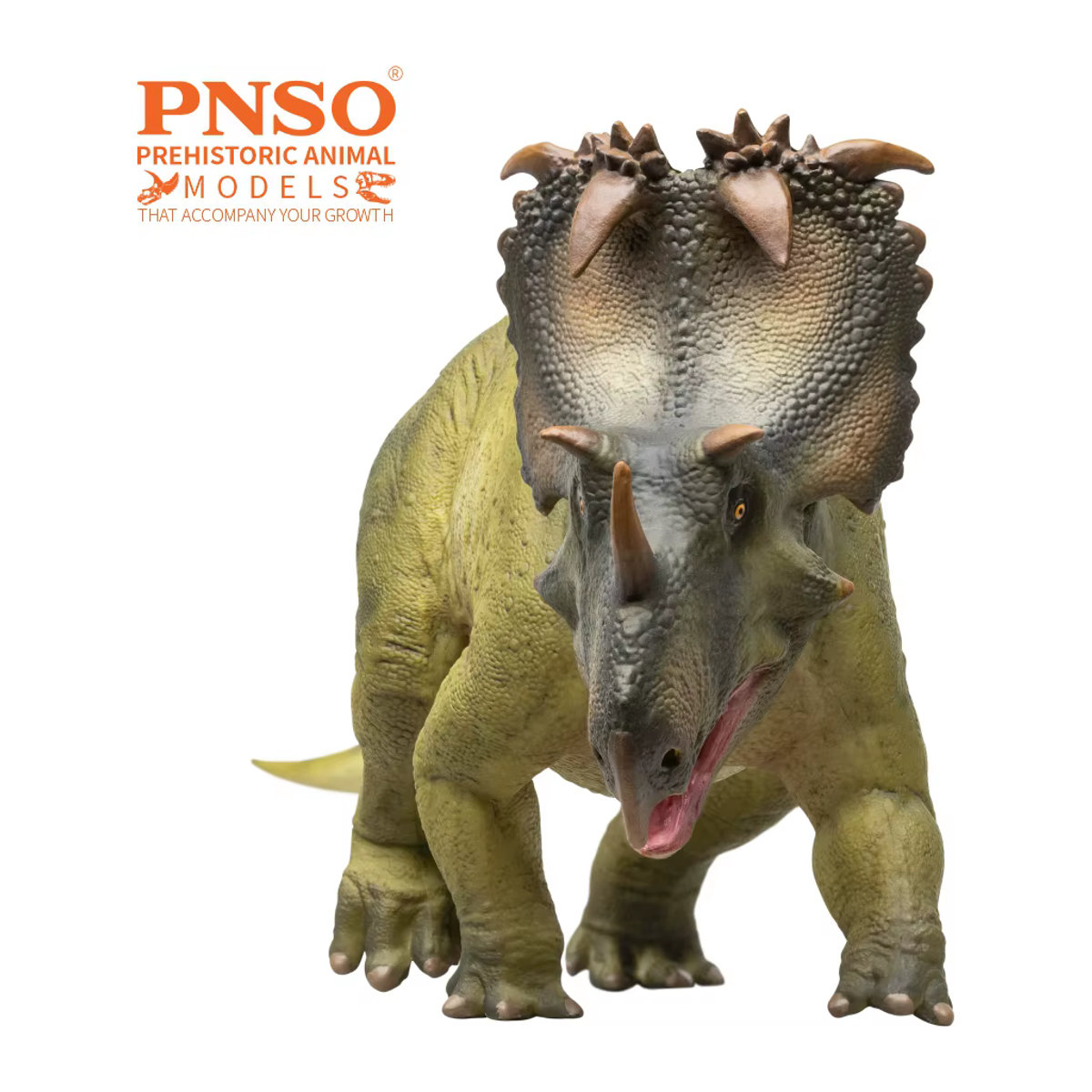PNSO Prähistorisches Dinosauriermodell Coronosaurus Russo in Grün - Bild 4