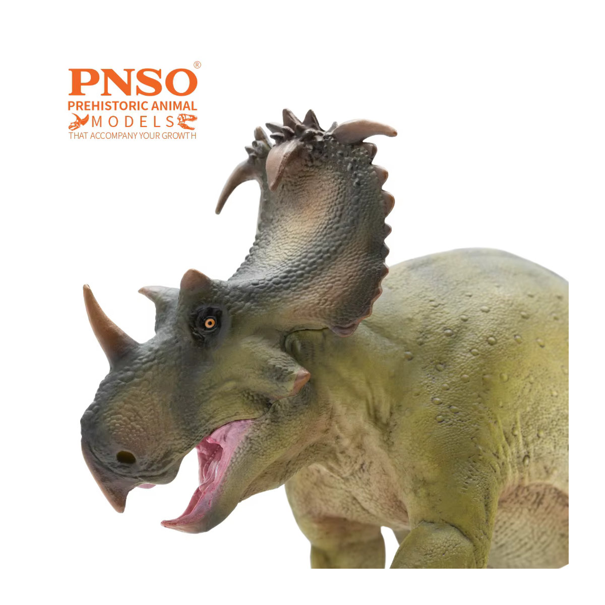 PNSO Prähistorisches Dinosauriermodell Coronosaurus Russo in Grün - Bild 5