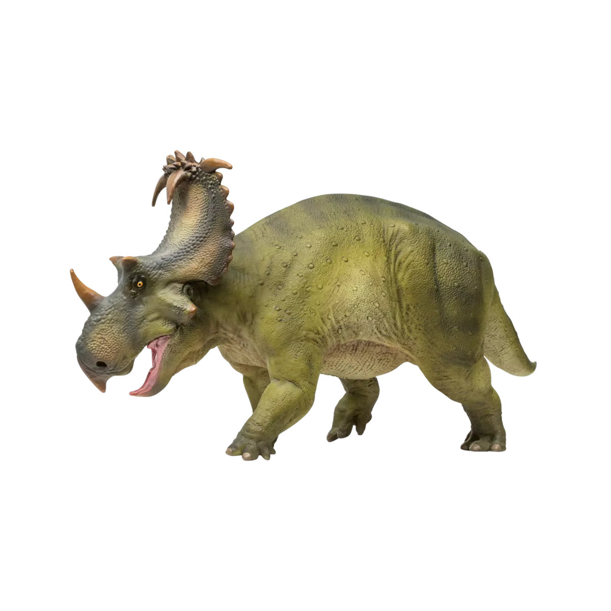 PNSO Prähistorisches Dinosauriermodell Coronosaurus Russo in Grün - Bild 6