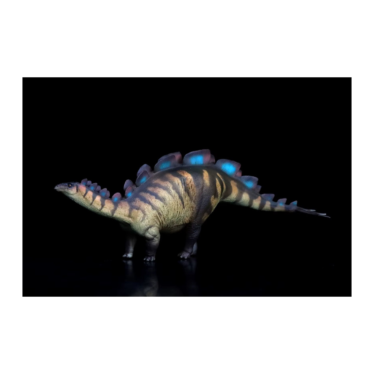 Pnso Wuerhosaurus Xilin Modell Dinosaurier Stegosauridae Figur in Mehrfarbig als wissenschaftliche Statue zur Dekoration - Bild 2
