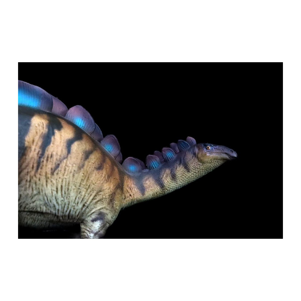 Pnso Wuerhosaurus Xilin Modell Dinosaurier Stegosauridae Figur in Mehrfarbig als wissenschaftliche Statue zur Dekoration - Bild 3