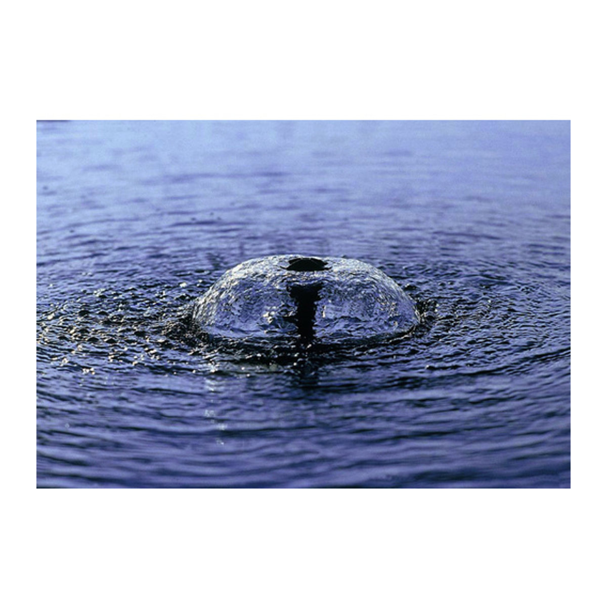 PONTEC Springbrunnenpumpe PondoVario in Schwarz mit 40 W und einer Fördermenge von 2500 l/h - Bild 1