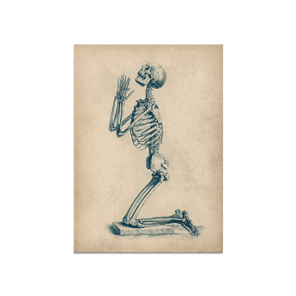 Potdemiel Knochenanatomie-Poster im Vintage-Stil, Beige, Rechteckiges Papier-Poster für die Wanddekoration - Bild 3
