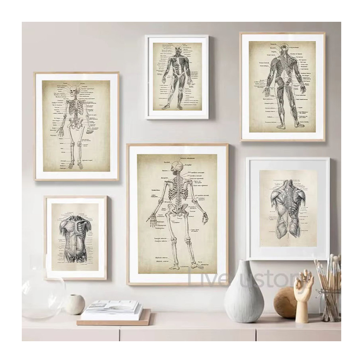 Potdemiel Vintage Anatomie Leinwandbild für Erwachsene in Beige, Wanddekoration im Hochformat - Bild 2