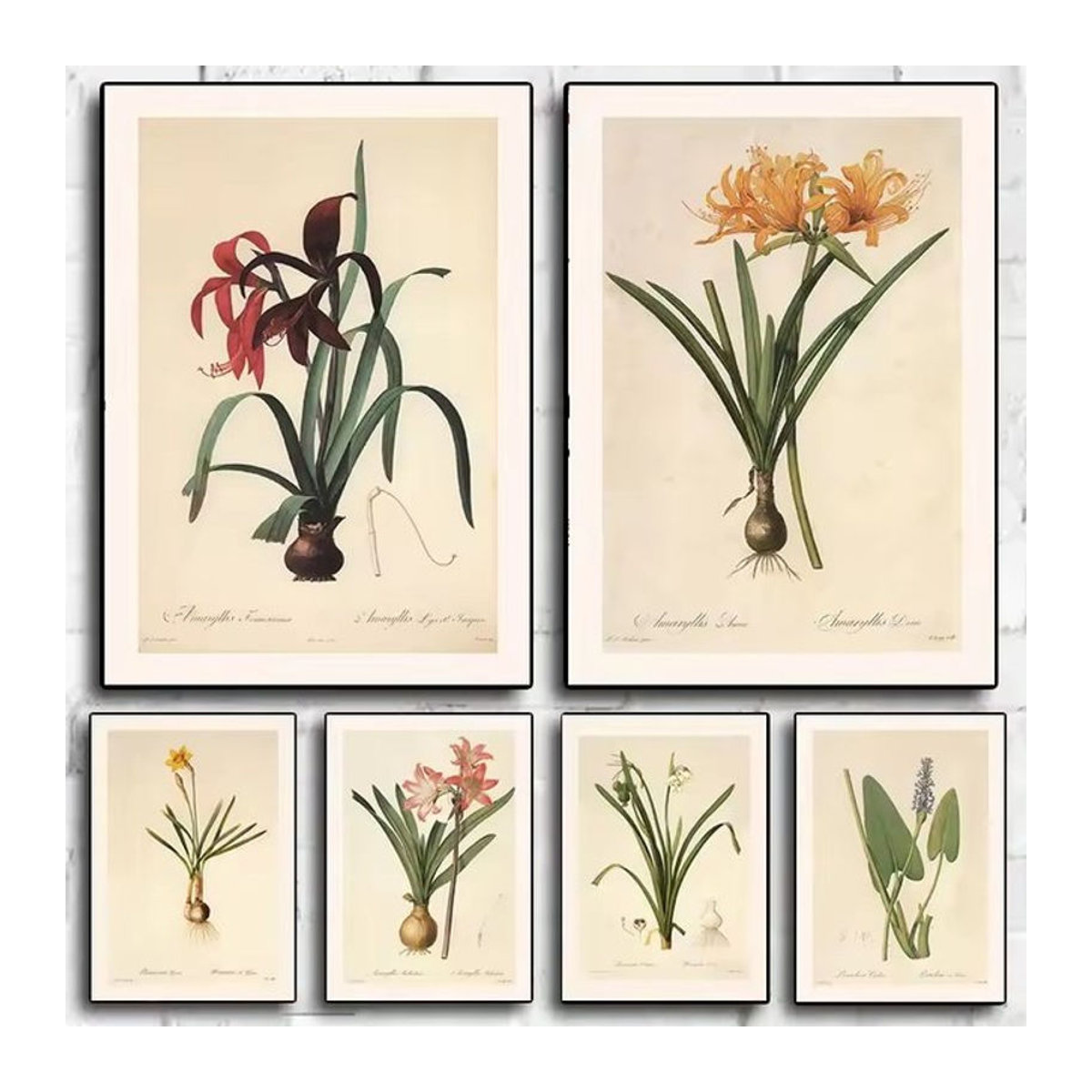Potdemiel Vintage Botanisches Poster als mehrfarbiges Leinwandgemälde mit floralem Blumen- und Blättermotiv im Hochformat - Bild 1