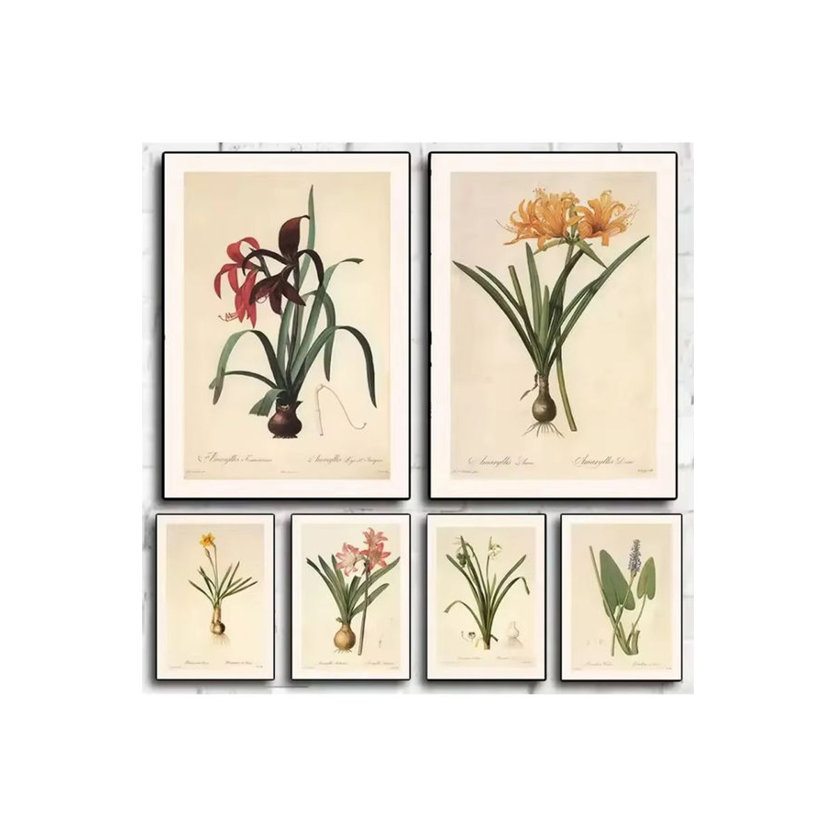 Potdemiel Vintage Botanisches Poster als mehrfarbiges Leinwandgemälde mit floralem Blumen- und Blättermotiv im Hochformat - Bild 2