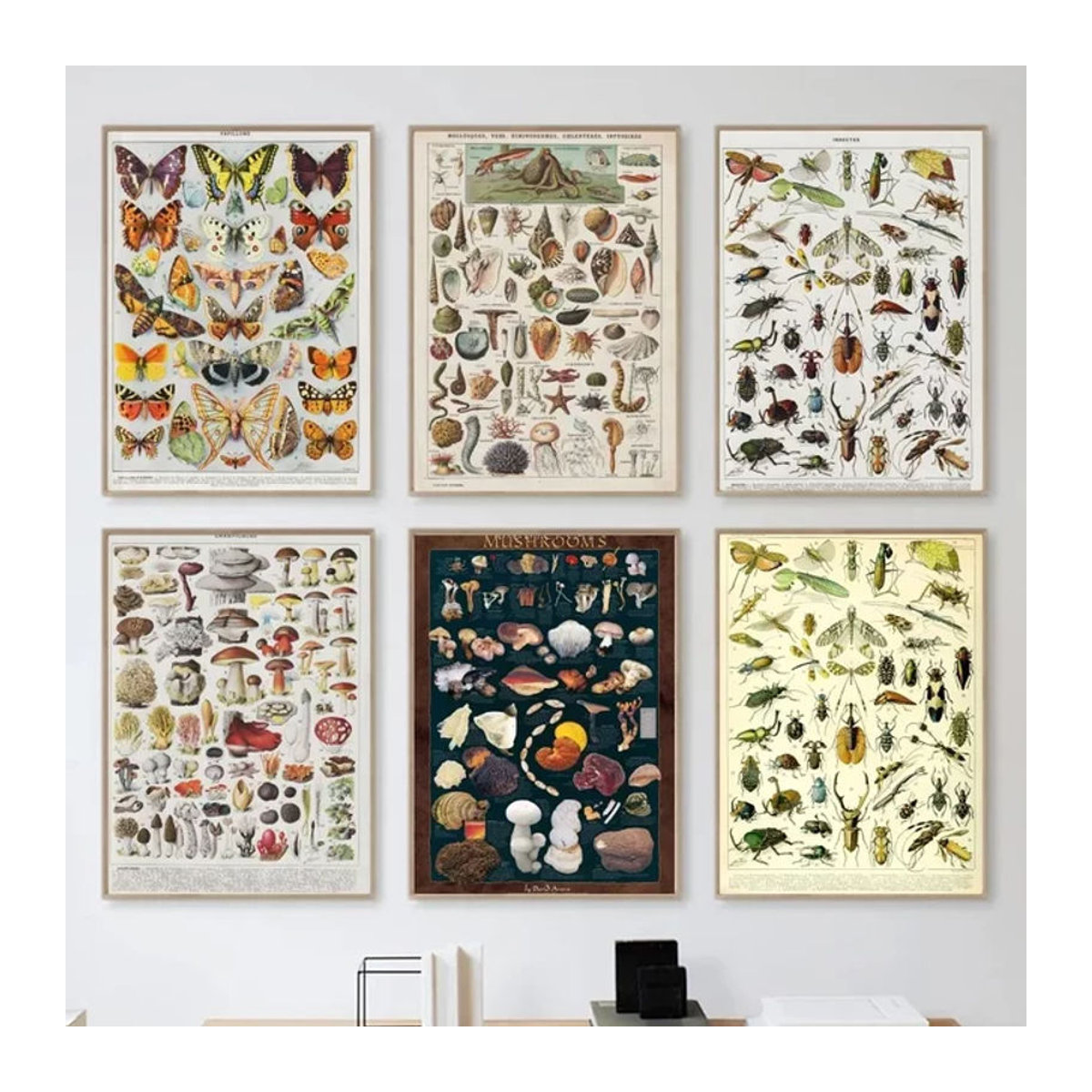 Potdemiel Vintage Wandkunst Leinwandgemälde mit botanischen Motiven, Schmetterlingen und Pilzen, mehrfarbig - Bild 1