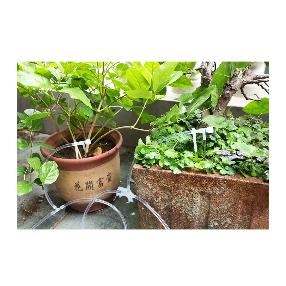 Praktisches Garten-Tropfbewässerungsset mit verstellbarem 4/7-mm-Schlauch und Mikro-Tropfern in Transparent - Bild 4