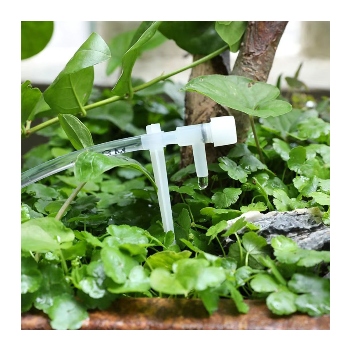 Praktisches Garten-Tropfbewässerungsset mit verstellbarem 4/7-mm-Schlauch und Mikro-Tropfern in Transparent - Bild 5