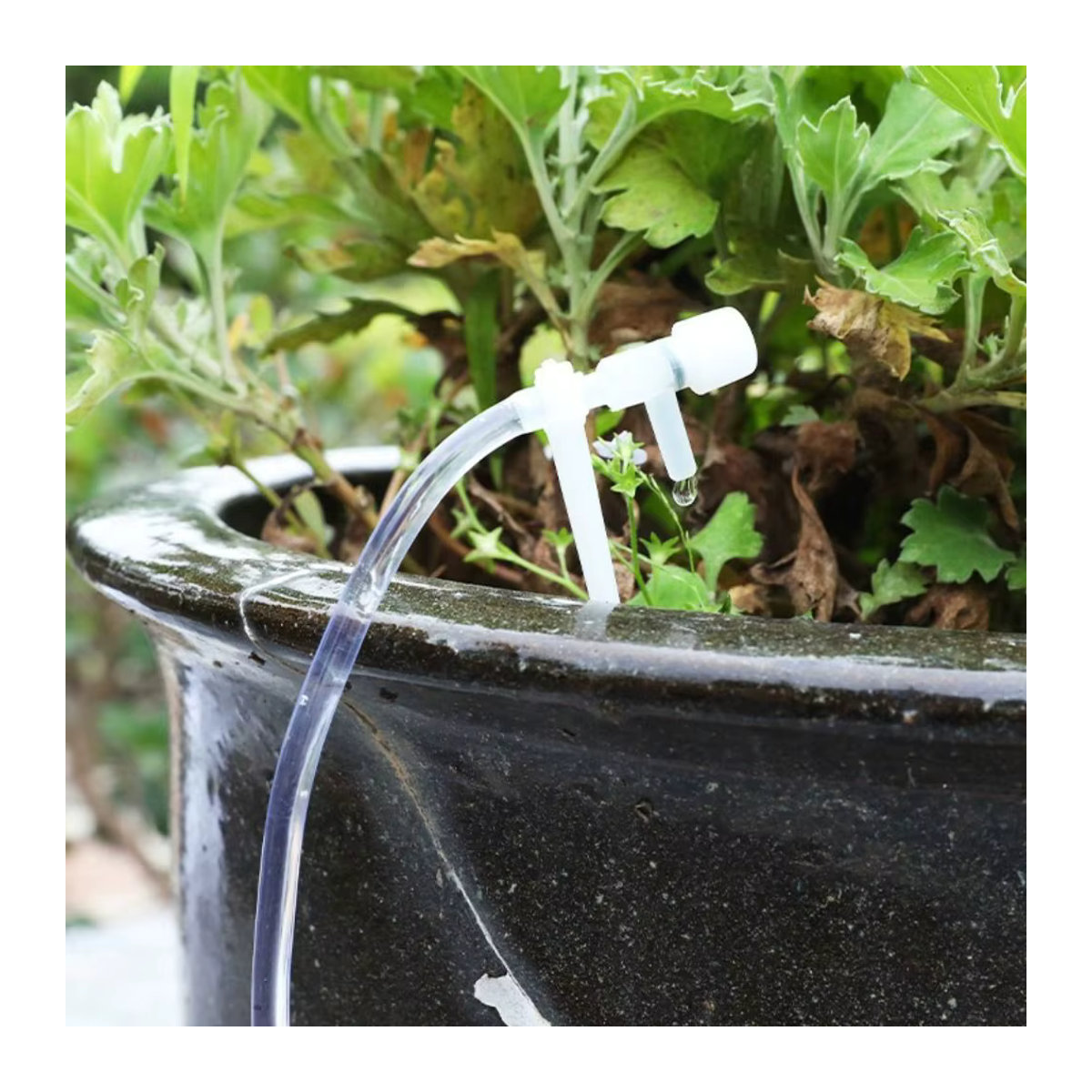 Praktisches Garten-Tropfbewässerungsset mit verstellbarem 4/7-mm-Schlauch und Mikro-Tropfern in Transparent - Bild 6