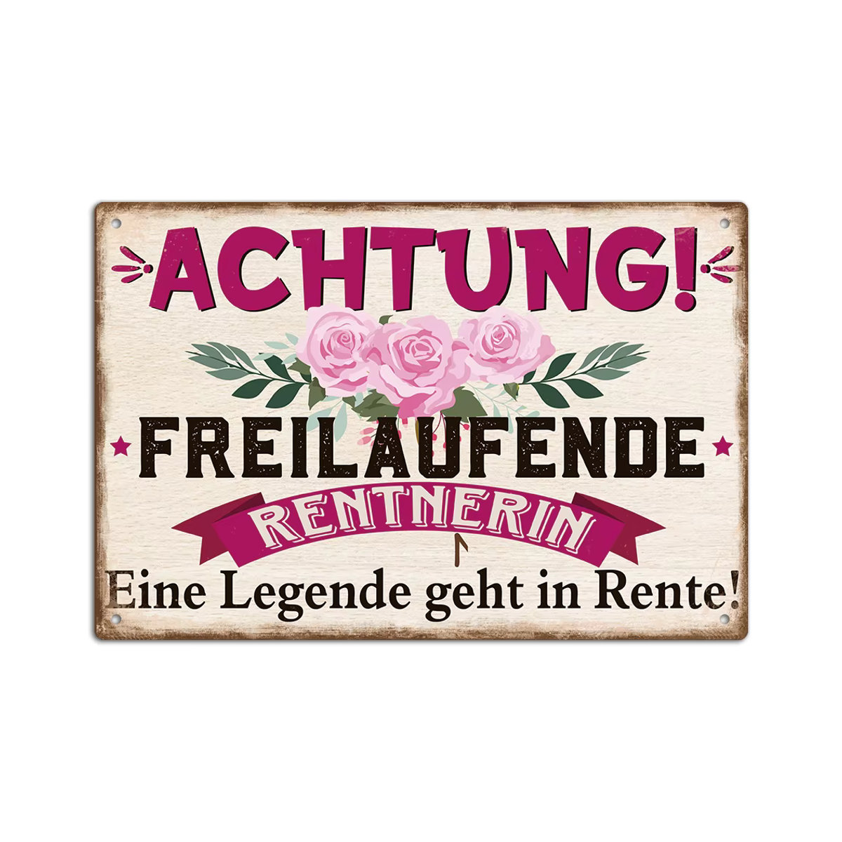 Putuo Decor Vintage Metallblechschild ACHTUNG! FREILAUFENDE RENTNERIN Mehrfarbig B: 30 cm, H: 20 cm - Bild 6