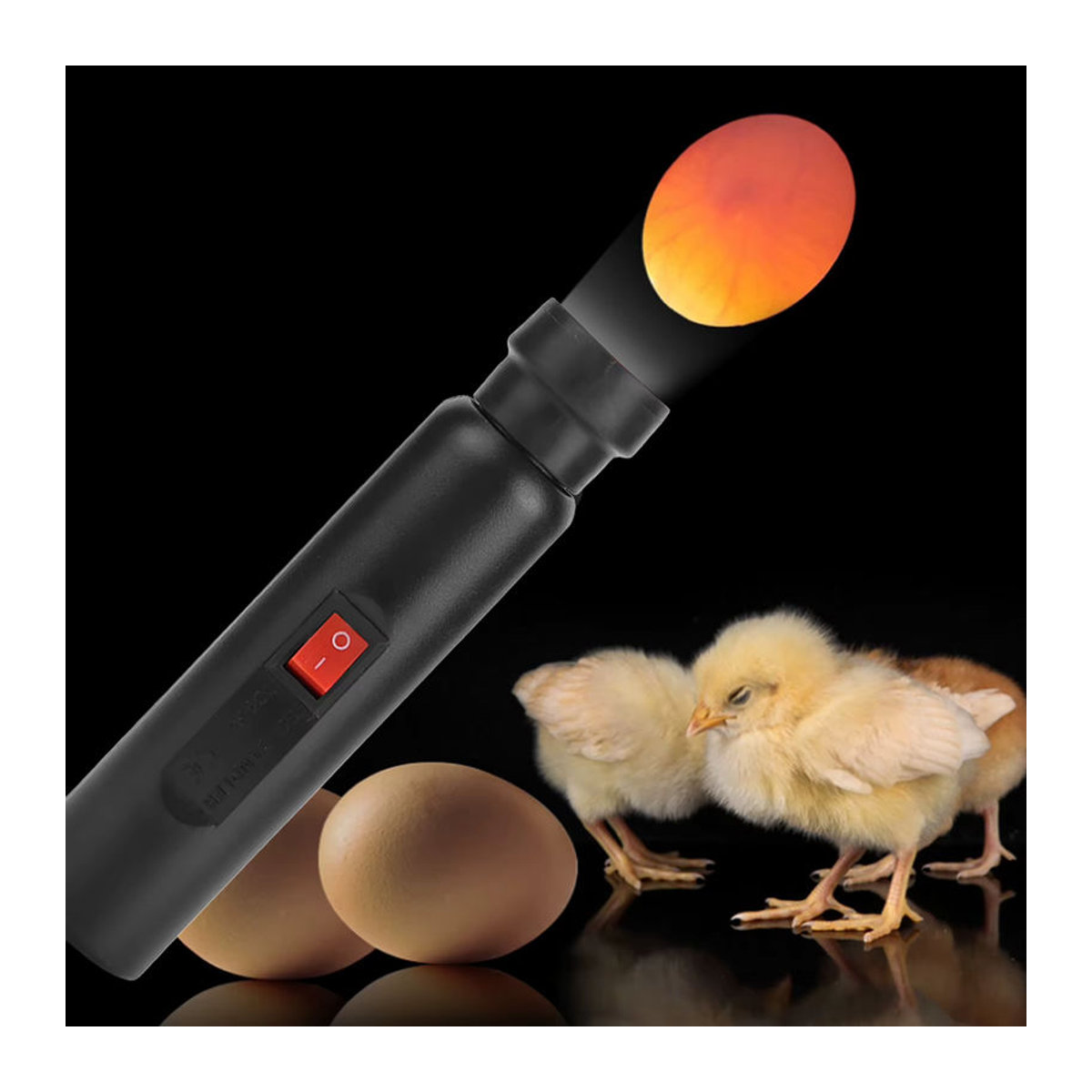 Qiilu LED Ei Kerze Lampe zur Wachstumskontrolle mit kaltweißem Licht und EU-Stecker 240V - Bild 4