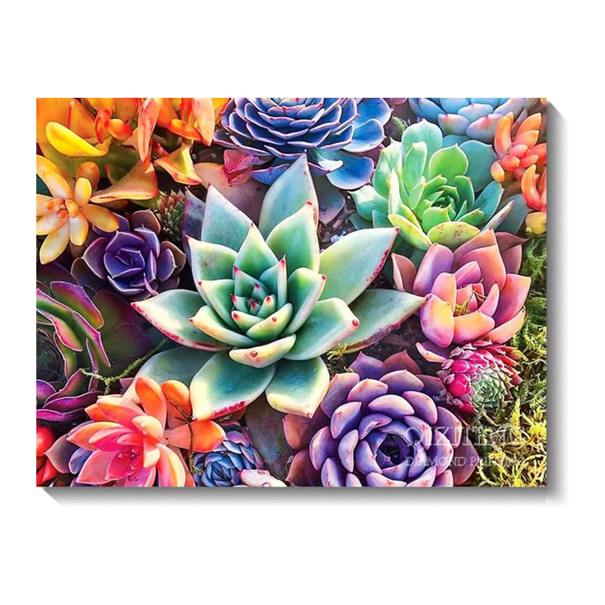 QIZITENG DIY 5D Diamantmalerei Set mit bunten Blumen als Wanddeko und Stickerei Kit mit runden Steinen - Bild 1