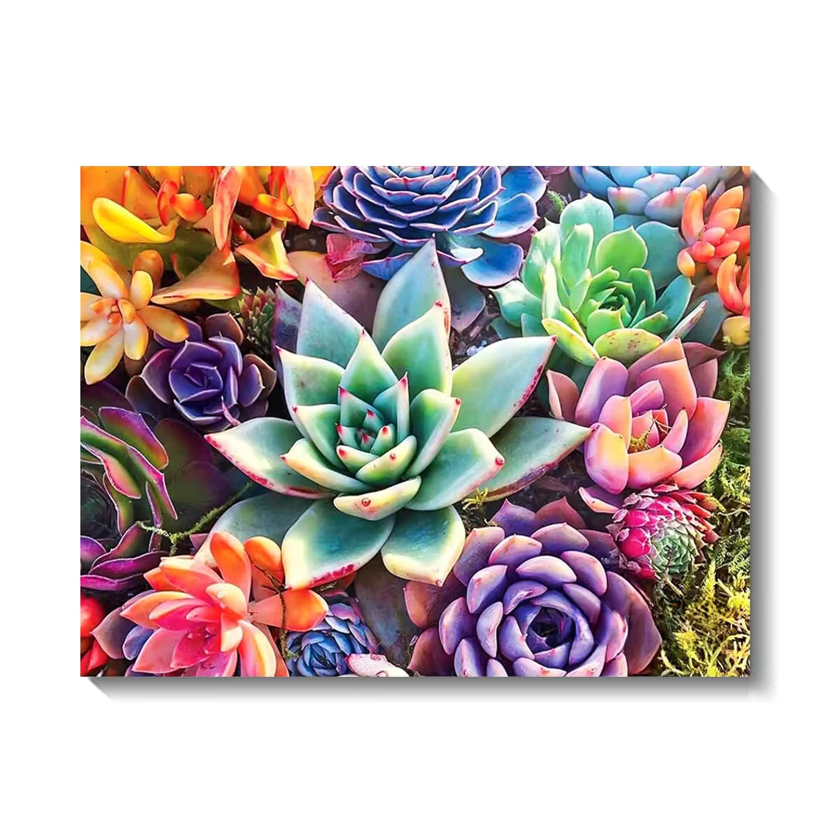 QIZITENG DIY 5D Diamantmalerei Set mit bunten Blumen als Wanddeko und Stickerei Kit mit runden Steinen - Bild 5