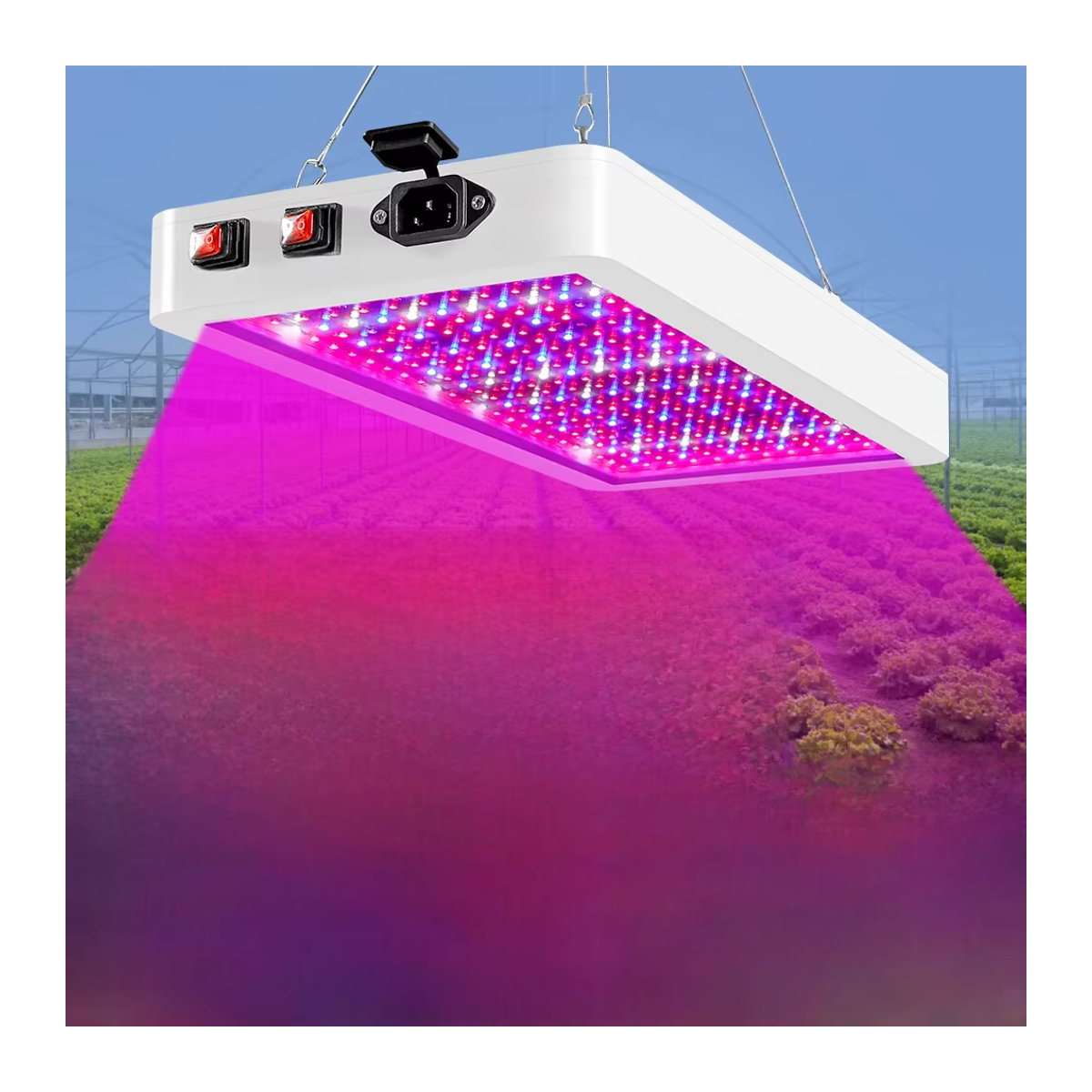 QNBDG Vollspektrum Pflanzenlampe mit 4000 W LED Phyto Licht für Gewächshaus und Samenaufzucht inklusive UV-Anteil - Bild 5