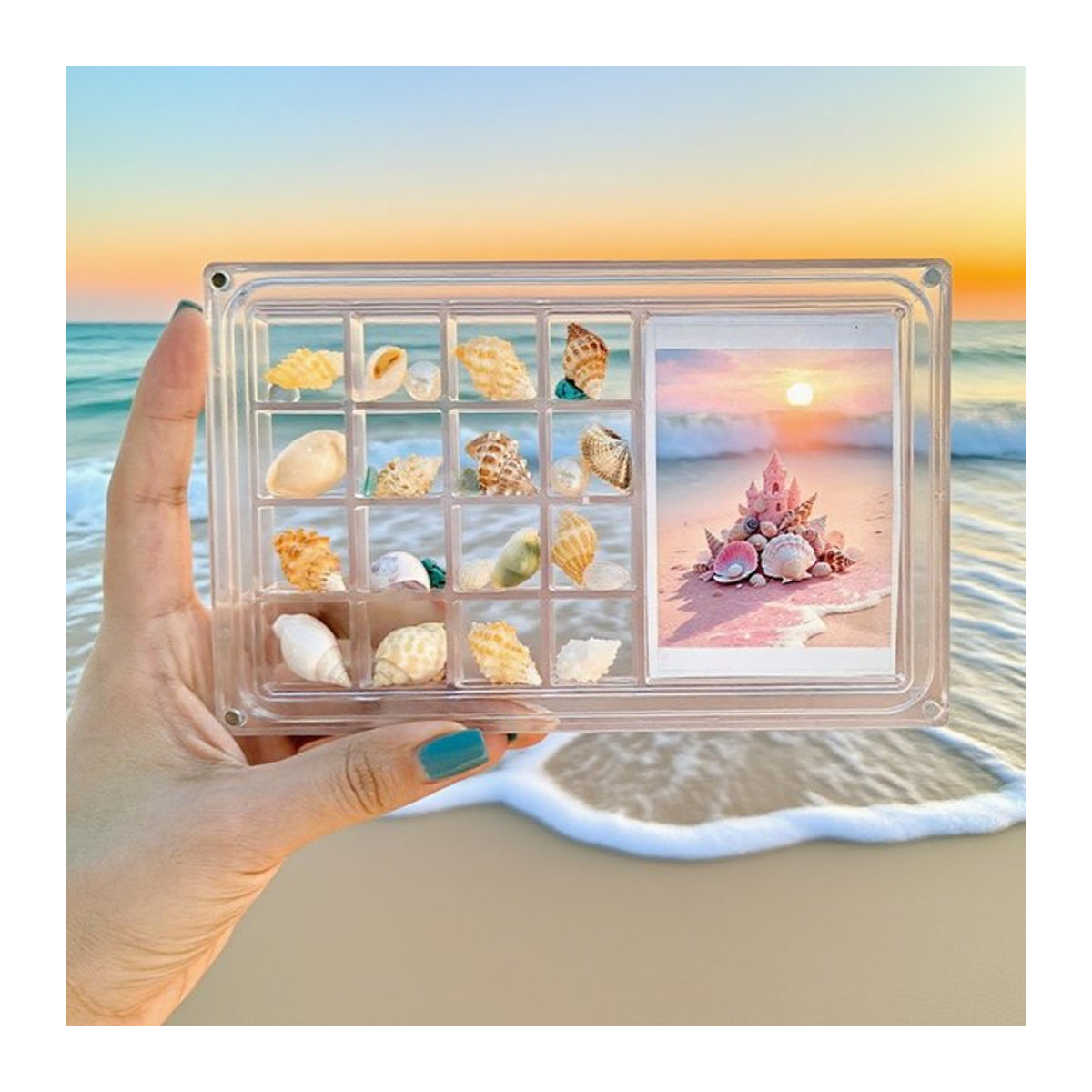 Quadratische Acryl-Vitrine Transparent für Muscheln und Strandsteine als maritime Aufbewahrungsbox - Bild 1