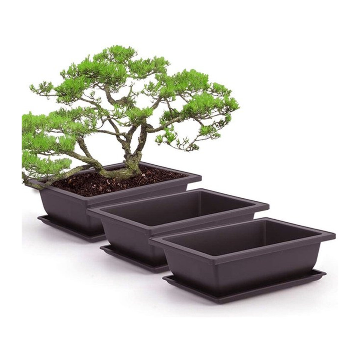 Quadratischer Blumentopf aus Kunststoff für Balkon und Bonsai - Bild 1