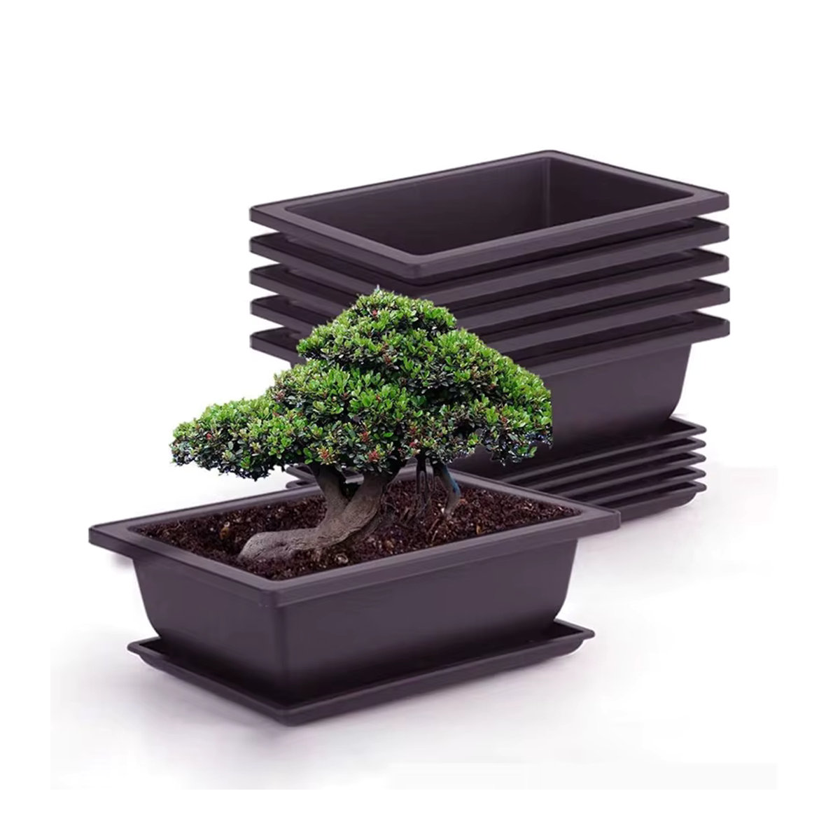 Quadratischer Blumentopf aus Kunststoff für Balkon und Bonsai - Bild 2