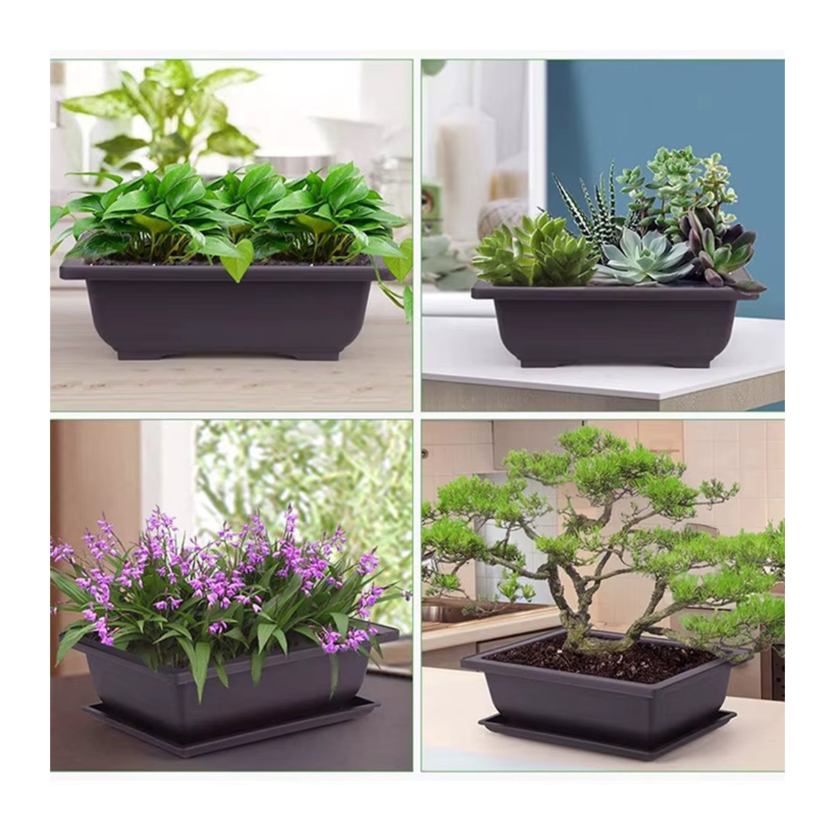 Quadratischer Blumentopf aus Kunststoff für Balkon und Bonsai - Bild 3