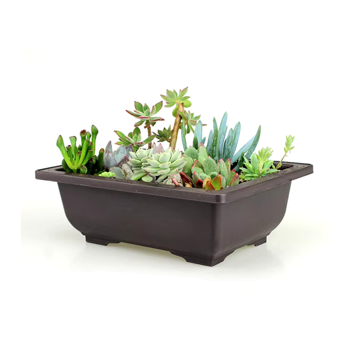 Quadratischer Blumentopf aus Kunststoff für Balkon und Bonsai - Bild 4