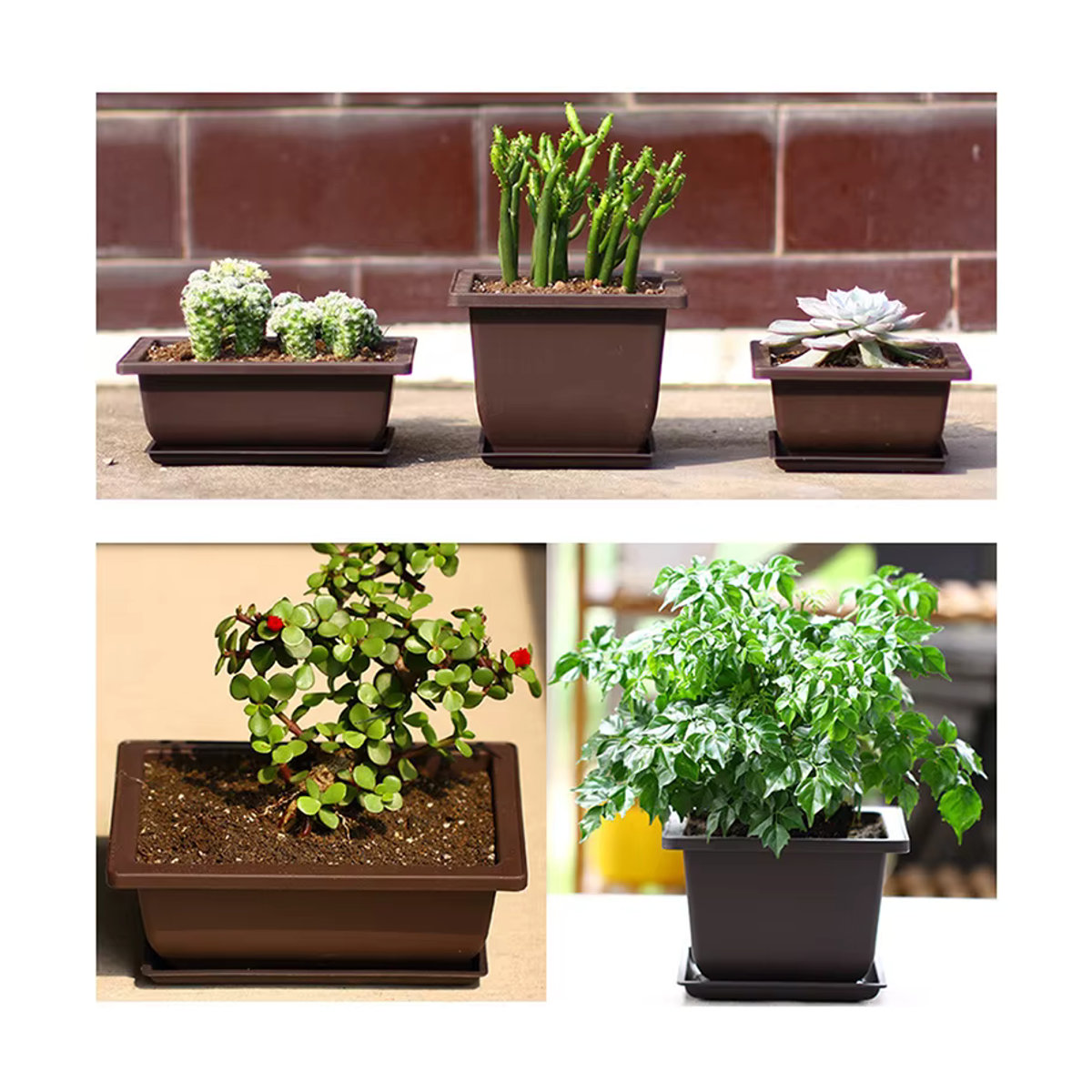 Quadratischer Blumentopf aus Kunststoff für Balkon und Bonsai - Bild 6