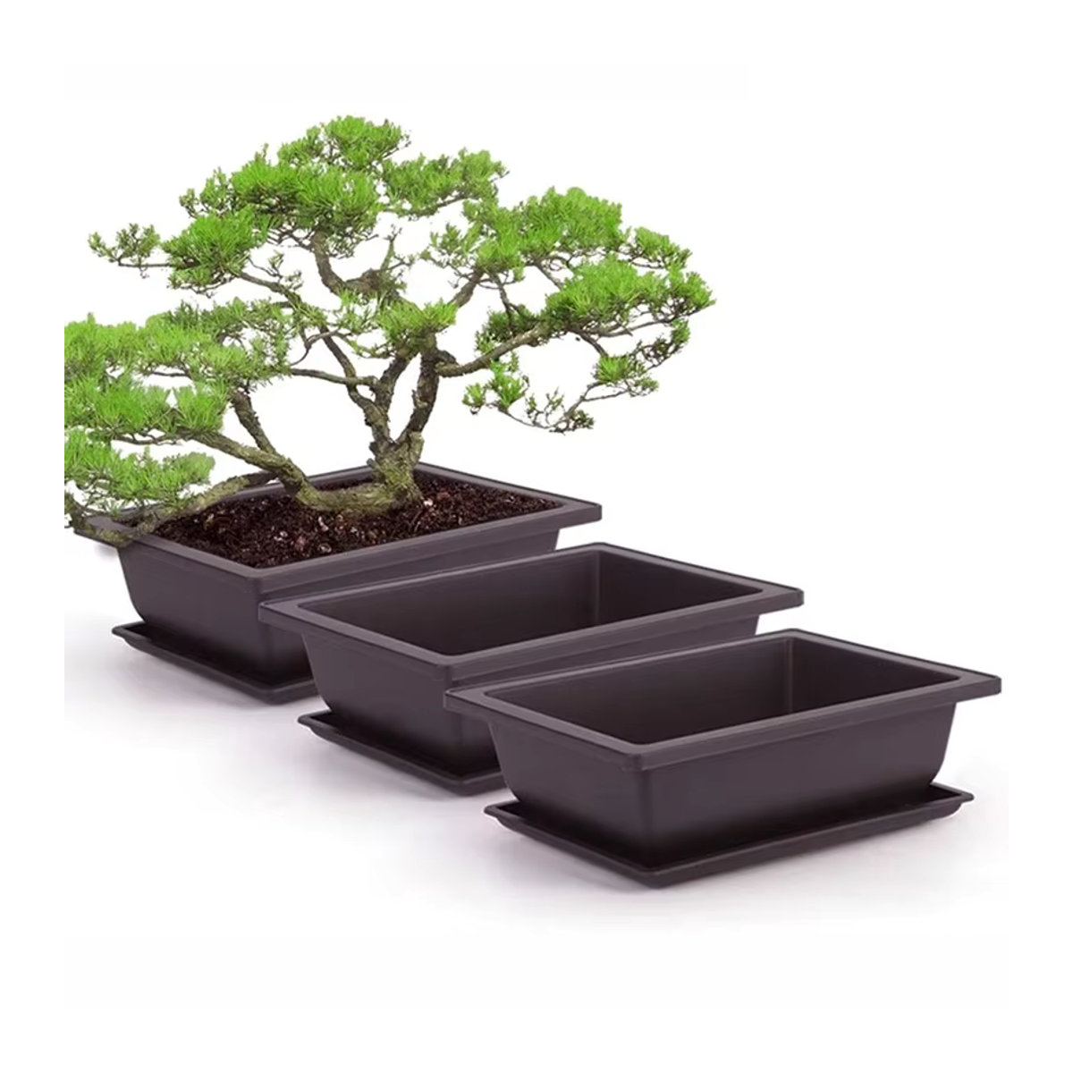 Quadratischer Blumentopf aus Kunststoff für Balkon und Bonsai - Bild 7