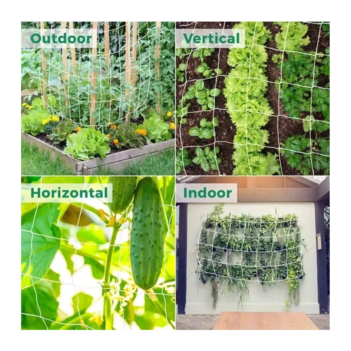 Quadratisches Gartennetz als Klettergitter für Pflanzen, Obst, Gemüse und Reben im Außenbereich - Bild 5