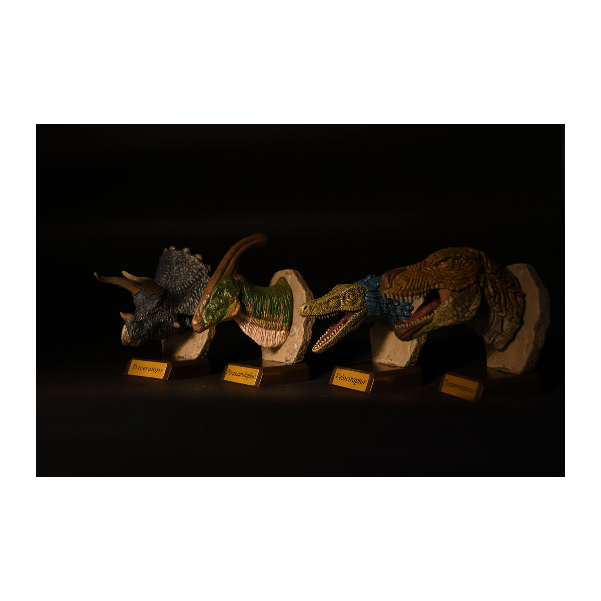 Qualia Kapselspielzeug Dinosaurierkopf-Sammlung als realistische Ornamentefiguren in Mehrfarbig - Bild 1