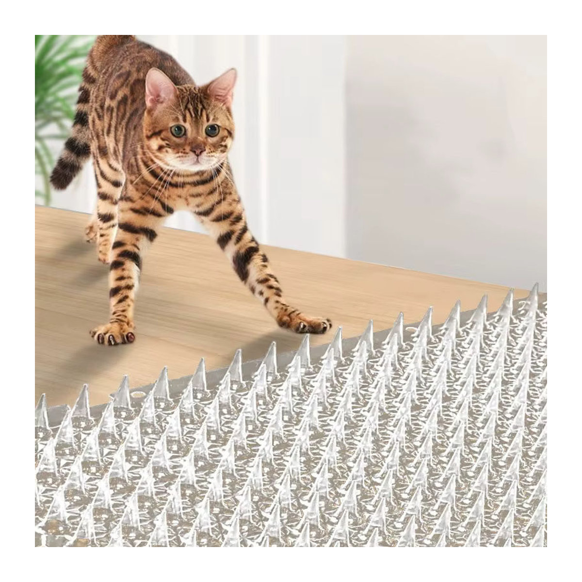 Qumao Network Katzenabwehrmatte mit Spikes aus Kunststoff, wetterbeständige Anti-Katzen-Matte zur Tierabwehr - Bild 2