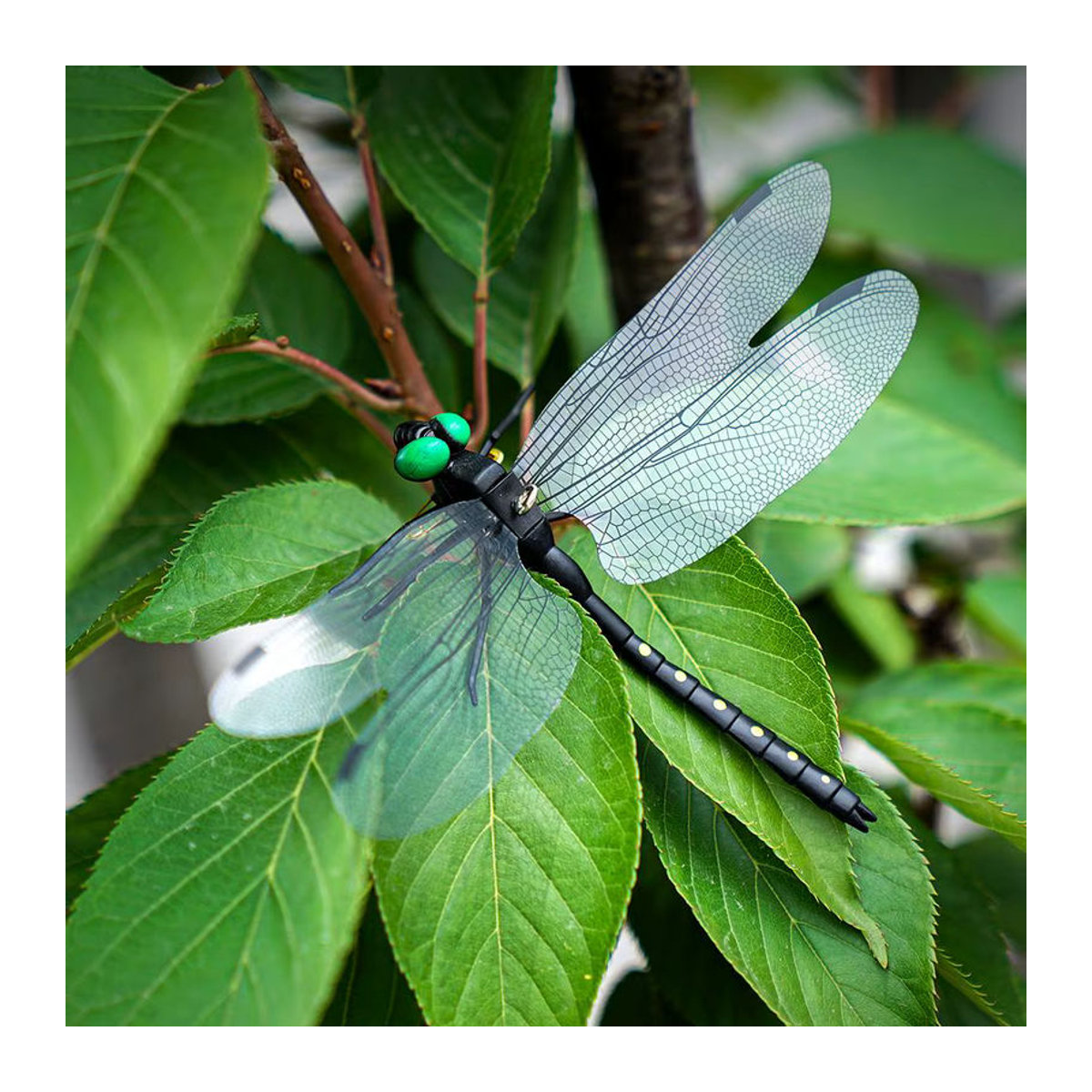 Realistische Libellen-Modelle als hängende Gartenornamente in Schwarz für Indoor und Outdoor - Bild 1