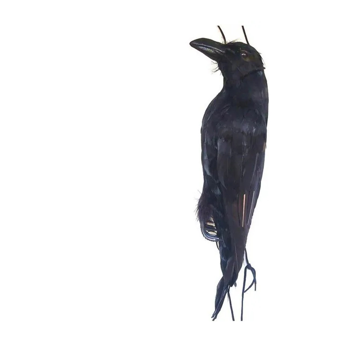 Realistische Simulation Krähe als hängendes Tier-Ornament in Schwarz für Garten und Halloween-Dekoration - Bild 1