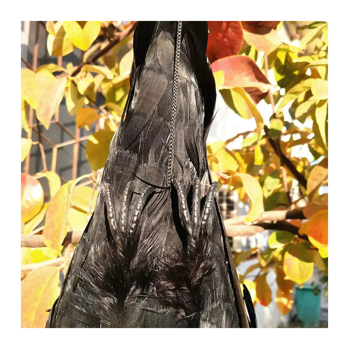 Realistische Simulation Krähe als hängendes Tier-Ornament in Schwarz für Garten und Halloween-Dekoration - Bild 4