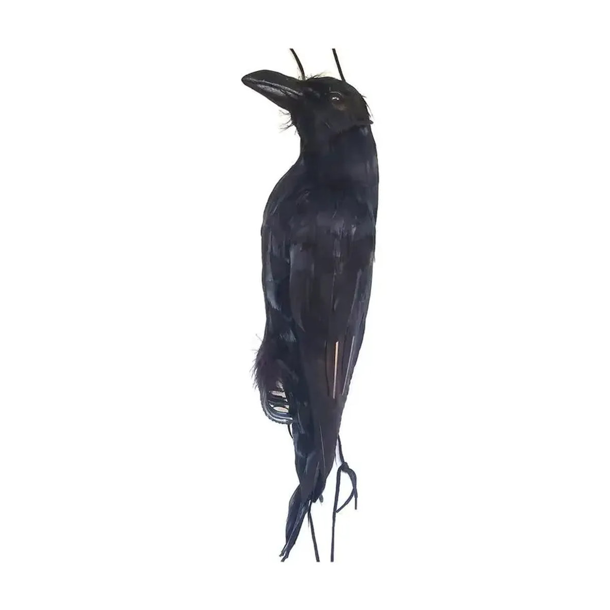 Realistische Simulation Krähe als hängendes Tier-Ornament in Schwarz für Garten und Halloween-Dekoration - Bild 6