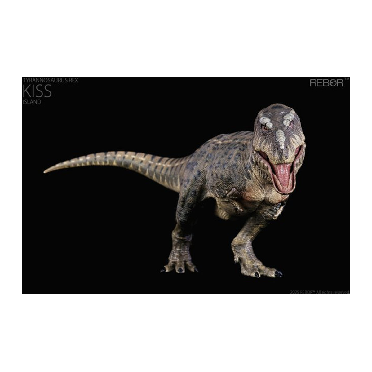 REBOR Tyrannosaurus Rex KISS Island Version Modellkollektion Dinosaurier Tierfigur in Mehrfarbig - Bild 1