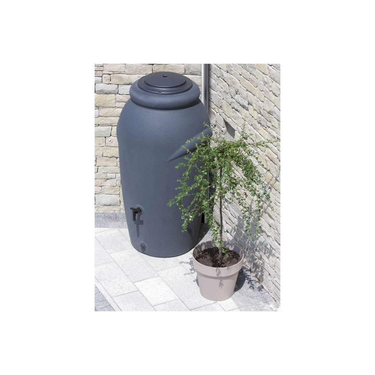 Regentonne Prosperplast Aquacan Baby in Anthrazit, B/H: 56 x 113 cm - Bild 2