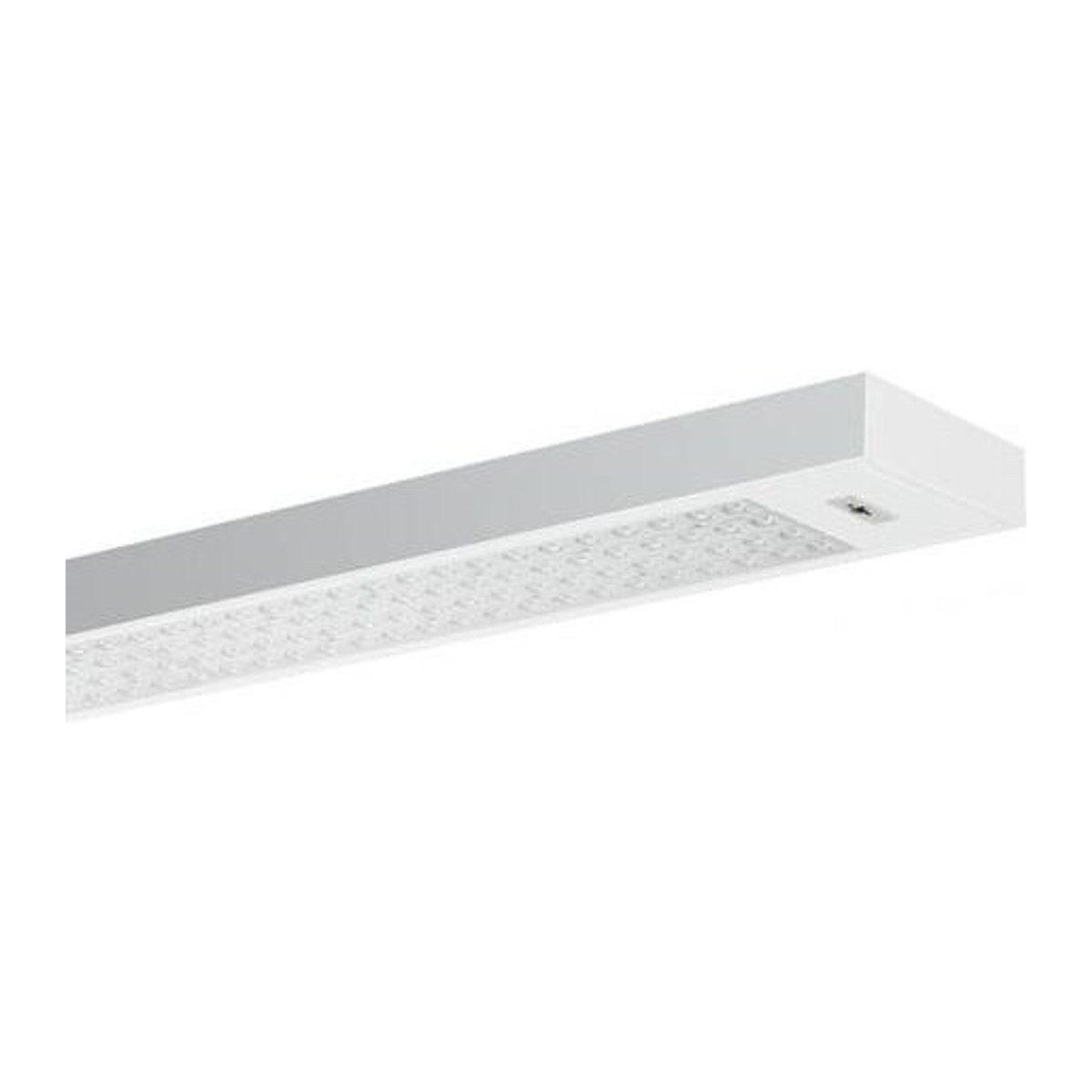 RIDI LED-Deckenleuchte in Weiß mit minimalistischem Design aus Metall - Bild 1