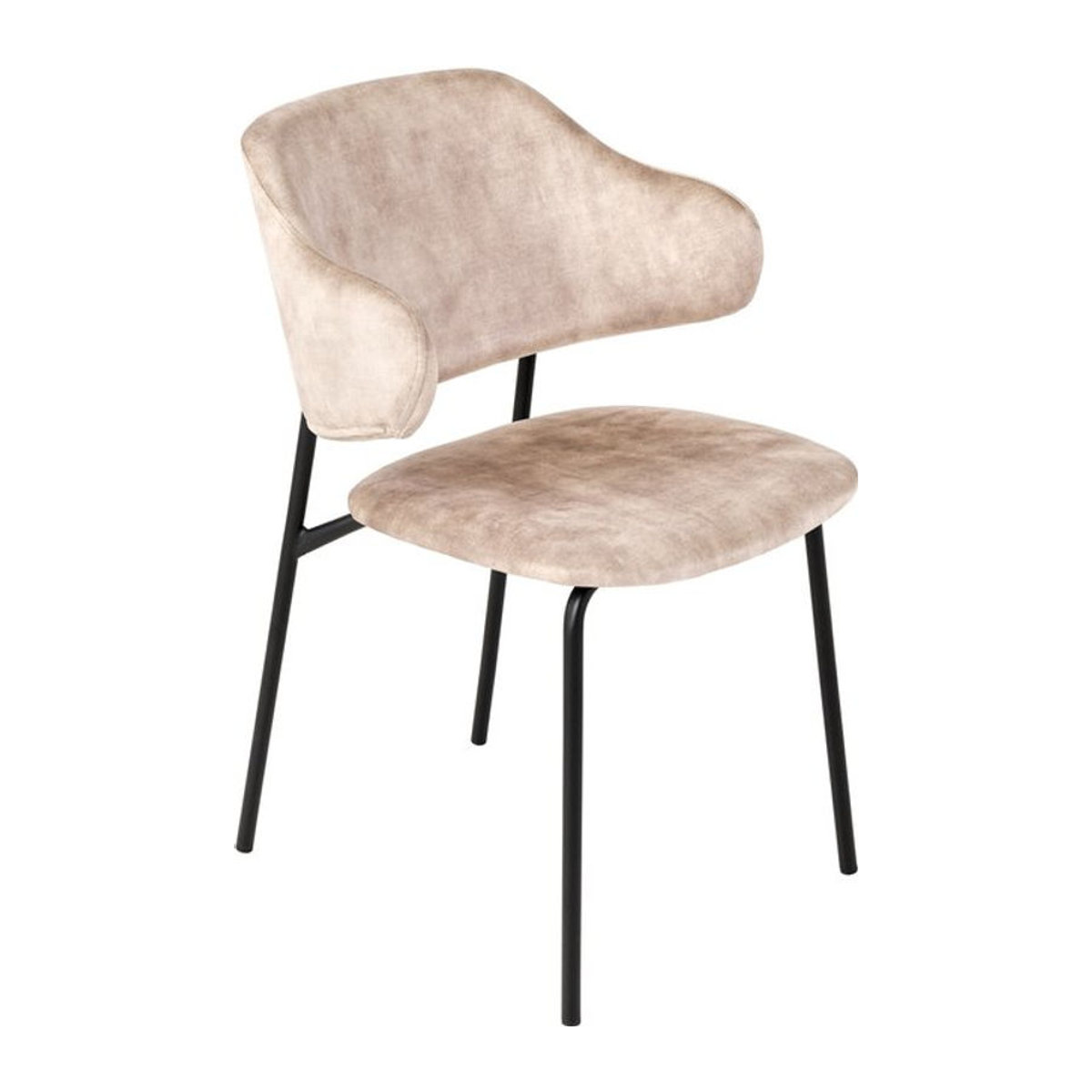 Riess-Ambiente Polsterstuhl VOGUE in Beige und Schwarz aus Samt mit Metallbeinen im modernen Retro-Design - Bild 1