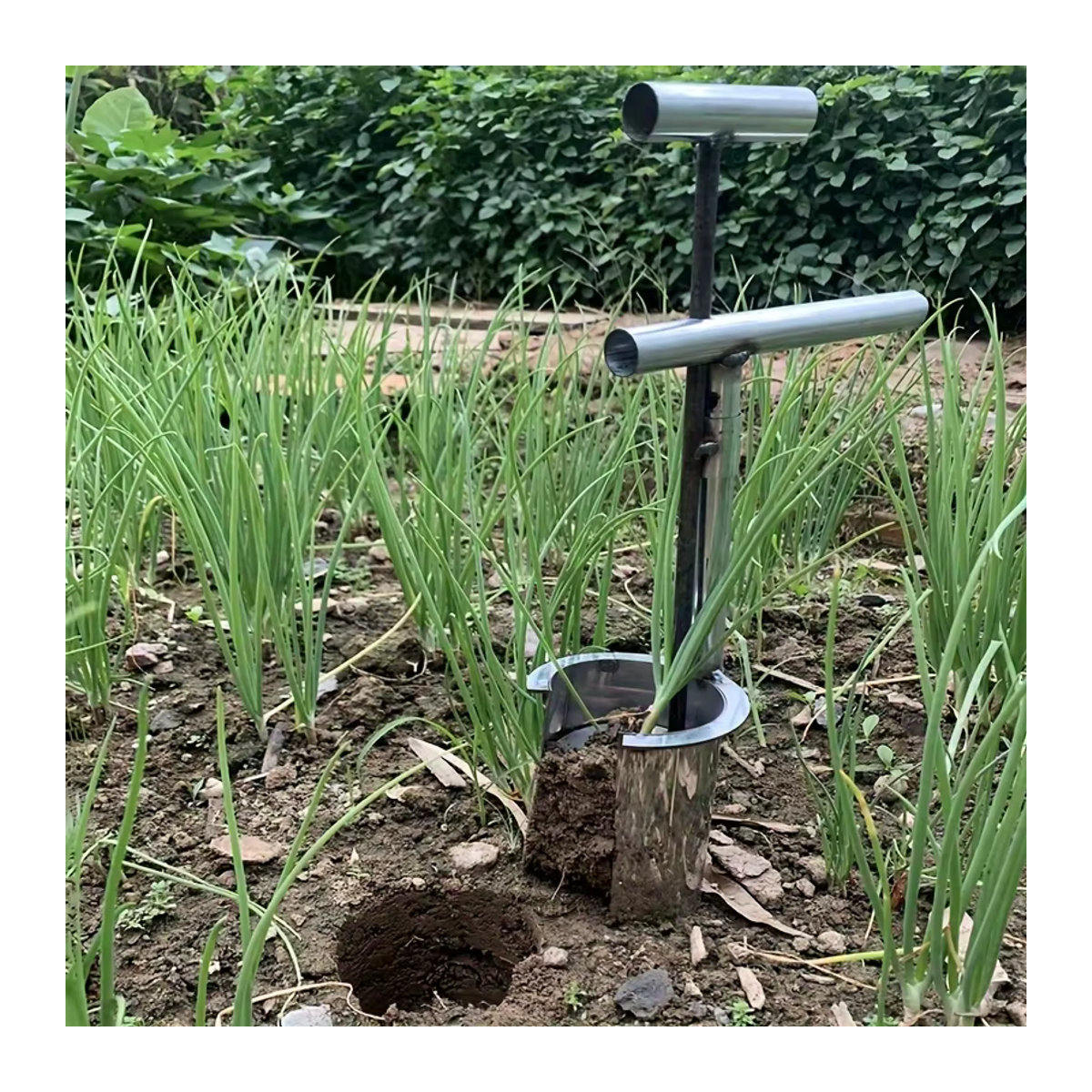Robuster Gartenpflanzer aus Edelstahl für Obstbäume, Blumen und Gemüsesämlinge, 1 Stück - Bild 4