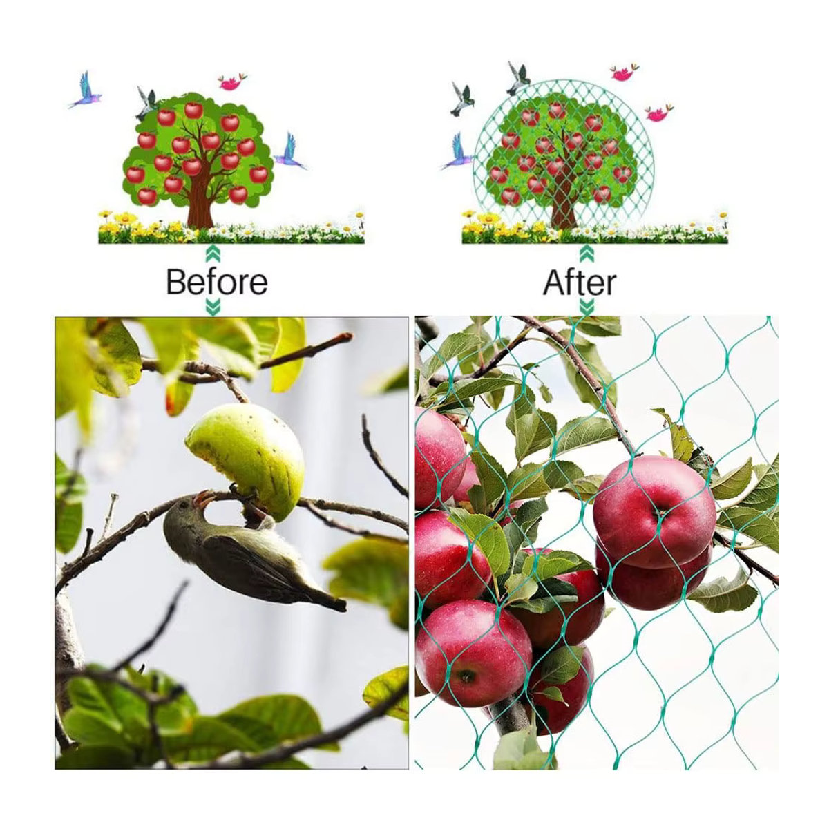 Robustes Anti-Vogel-Netz zur UV-beständigen Gartenpflege für Obstbäume und Gewächshäuser in 5 m oder 10 m Länge - Bild 5