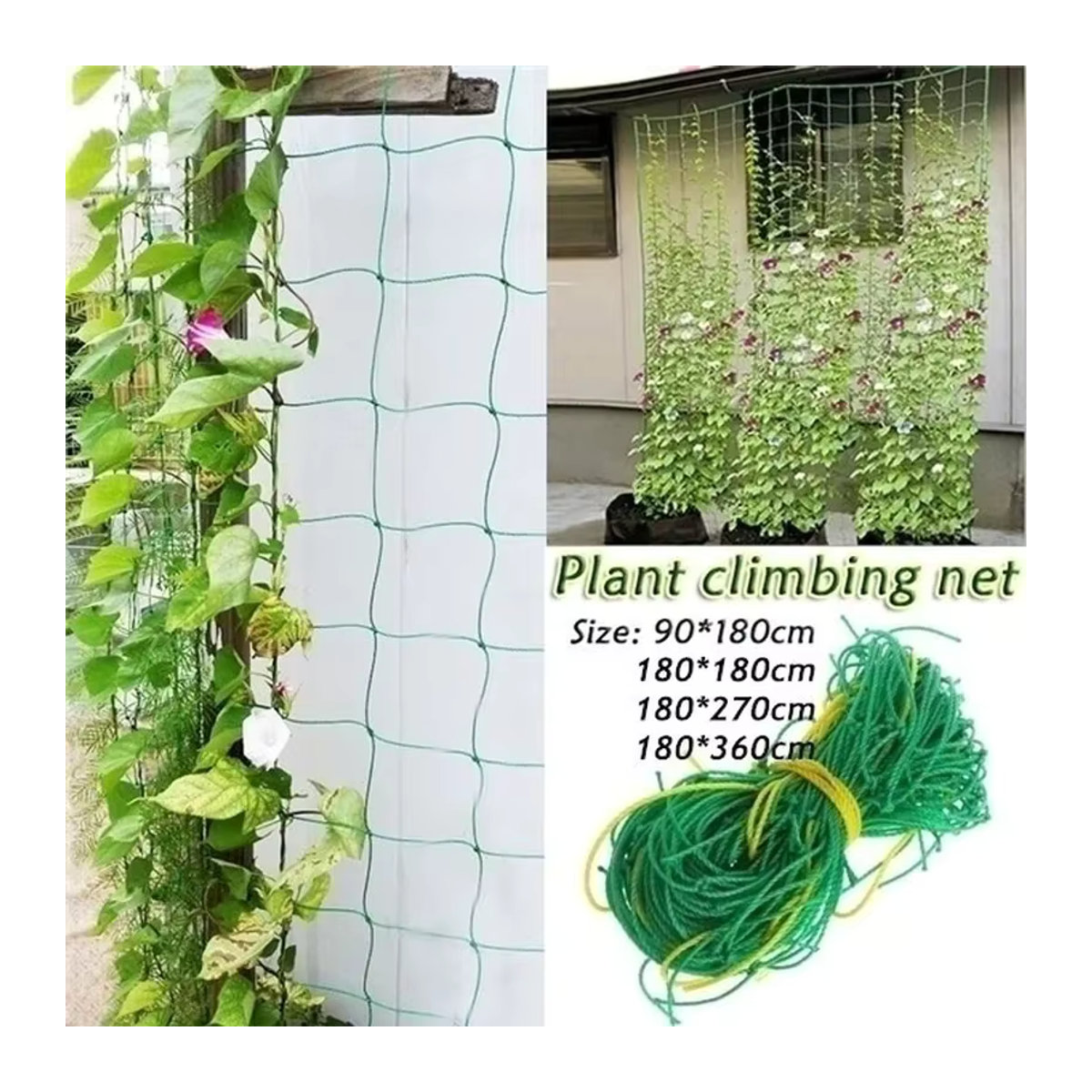 Robustes Kletternetz aus Polyester für Gartenpflanzen und Gemüse als Gartenspaliernetz mit quadratischem Netzmuster - Bild 2