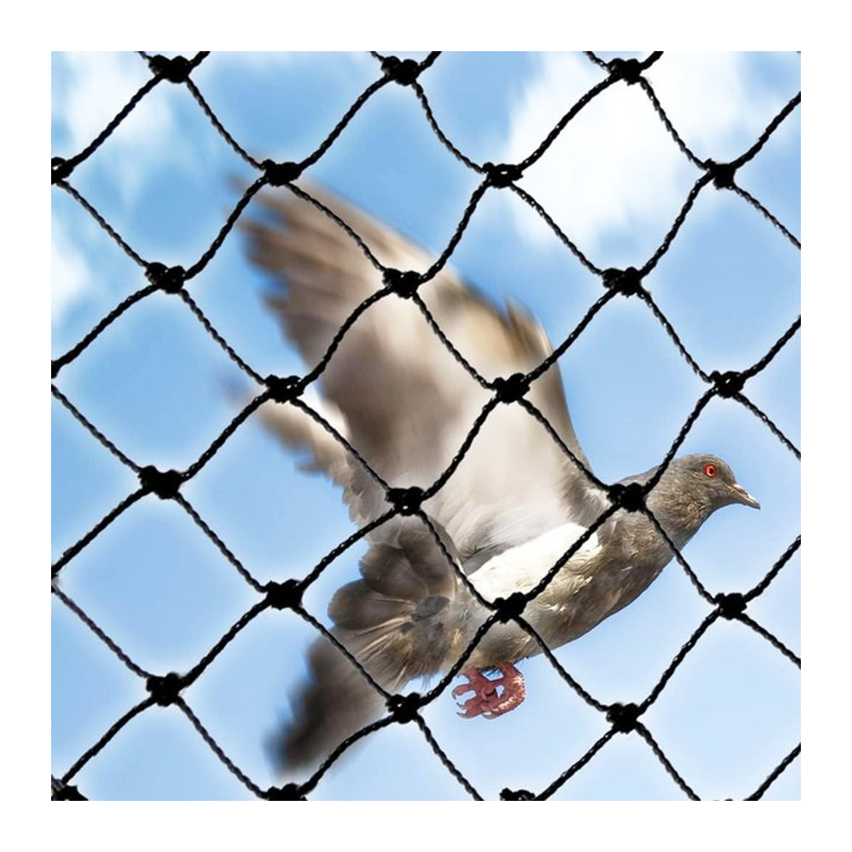 Robustes schwarzes Vogelnetz als Schutznetz für den Garten gegen Vögel, Katzen, Hirsche und Hunde - Bild 1