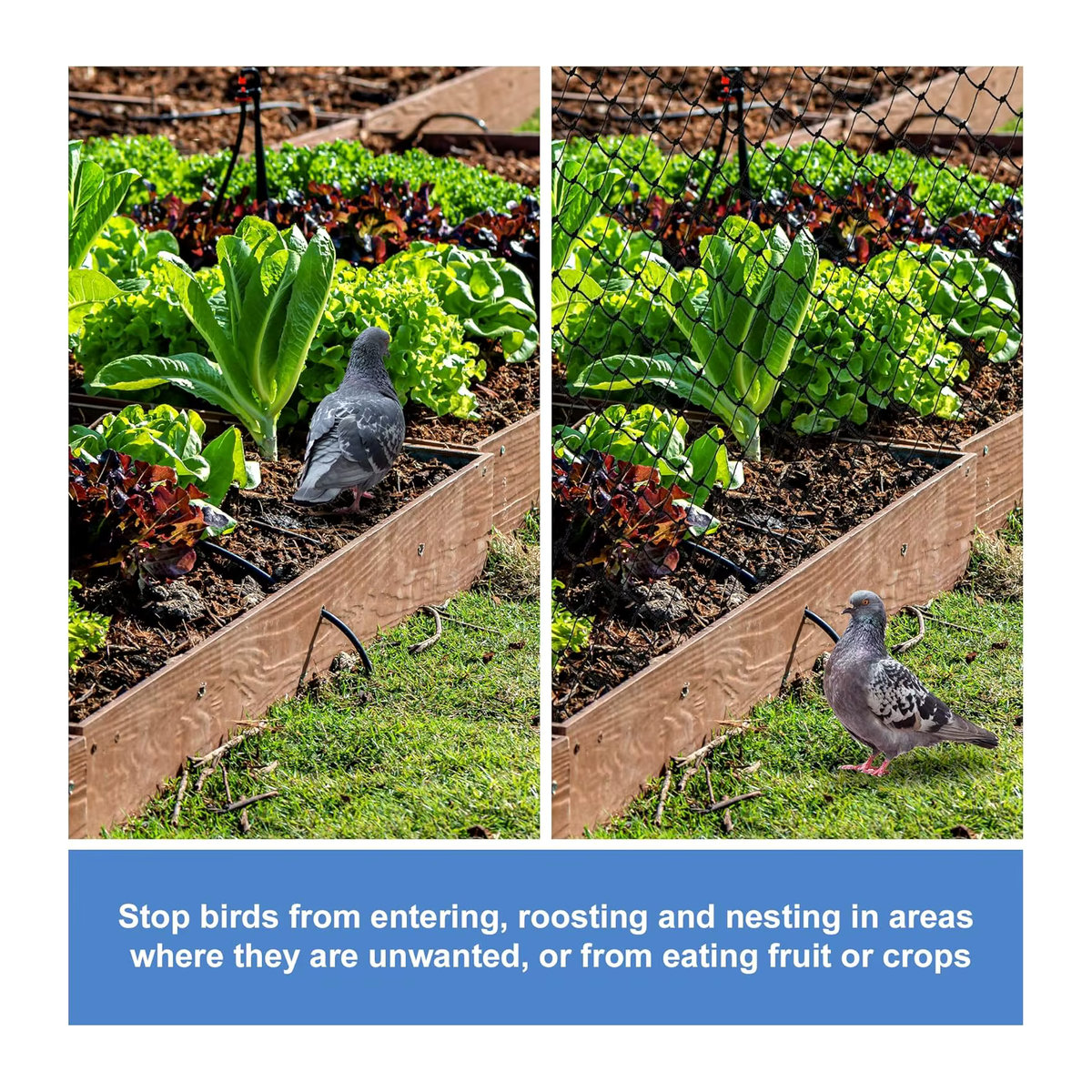 Robustes schwarzes Vogelnetz als Schutznetz für den Garten gegen Vögel, Katzen, Hirsche und Hunde - Bild 4
