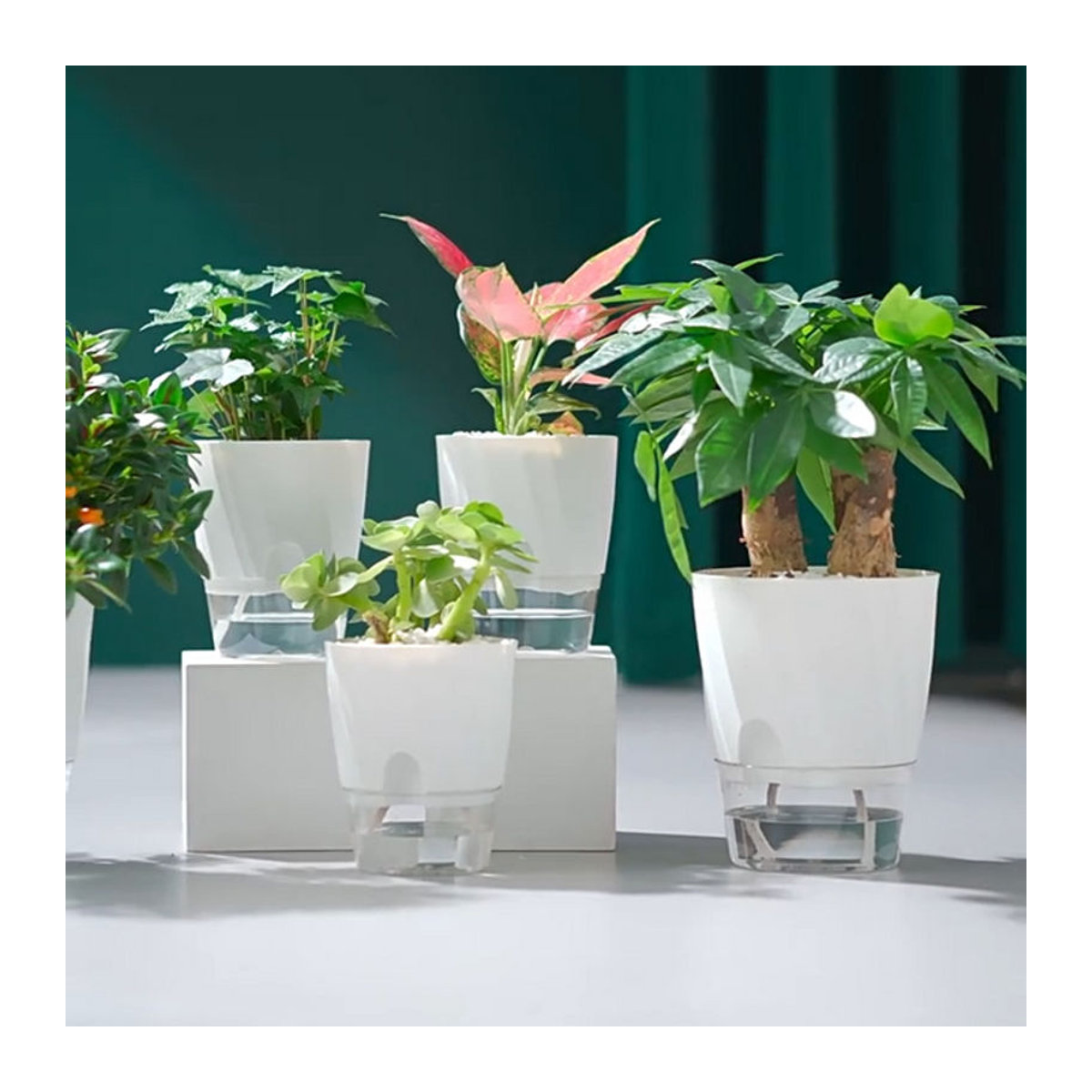 ROURKE Set aus 2 selbstbewässernden Kunststoff-Blumentöpfen mit Doppelschicht-System für Haus und Garten - Bild 1