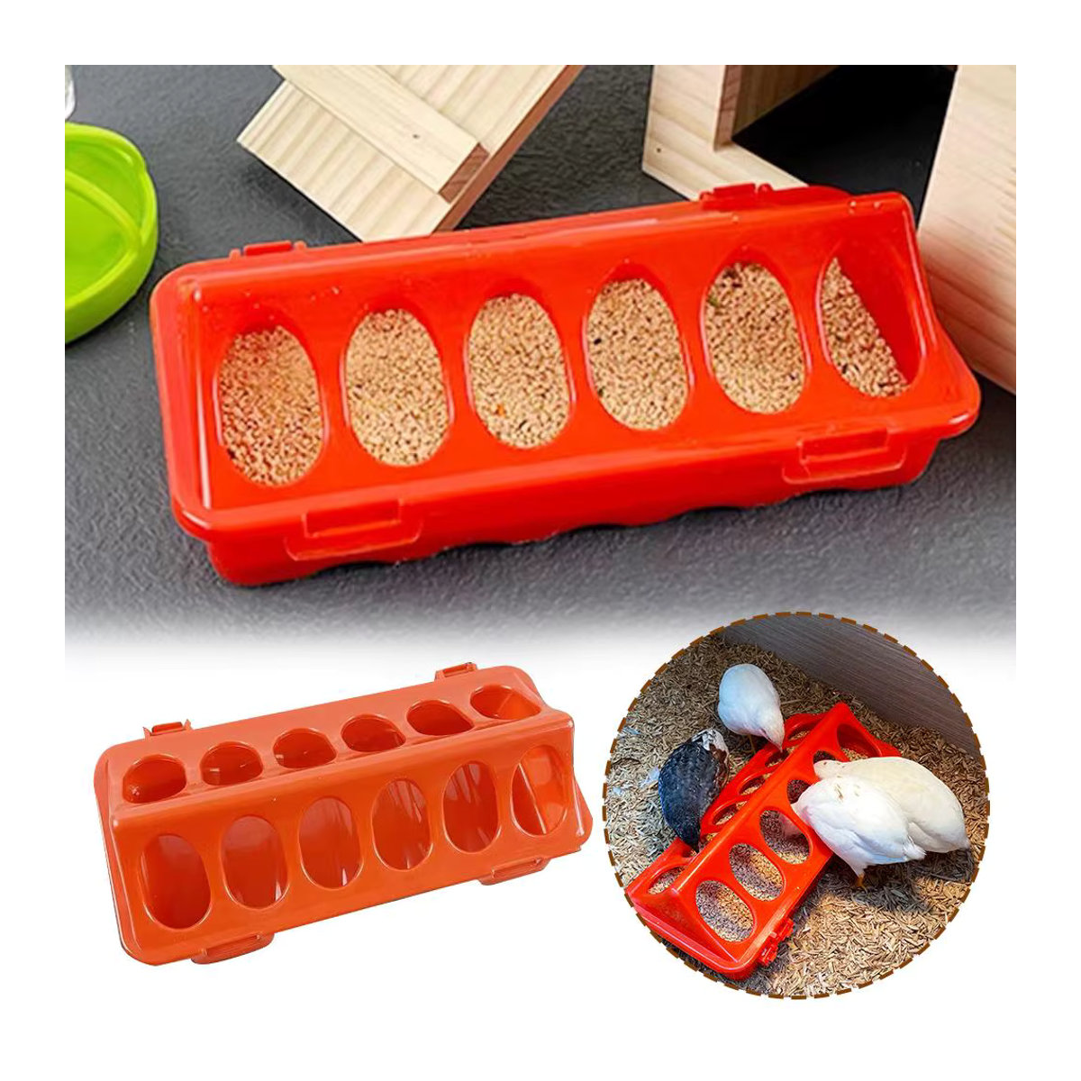 Rudin Automatischer Hühnerfutterspender und Wasserspender in Rot aus Kunststoff für Hühner, Vögel und Küken - Bild 4