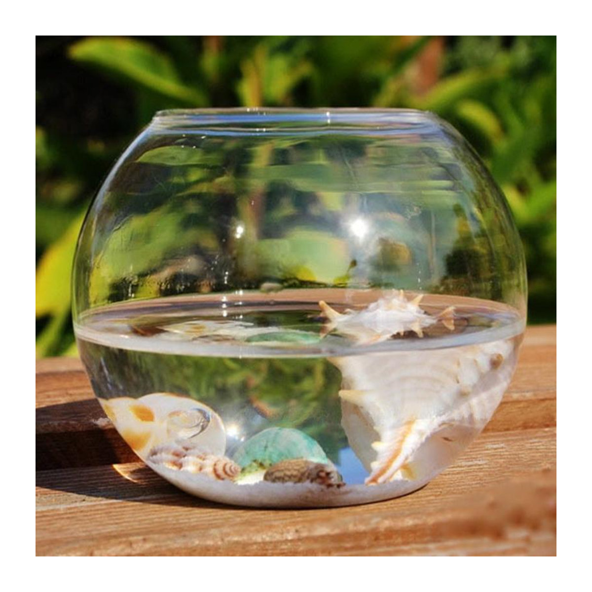 Runde Kugelvase von 1HomeJoy aus transparentem Glas für Mikro-Landschaften und Hydroponik, Höhe: 15 cm - Bild 1
