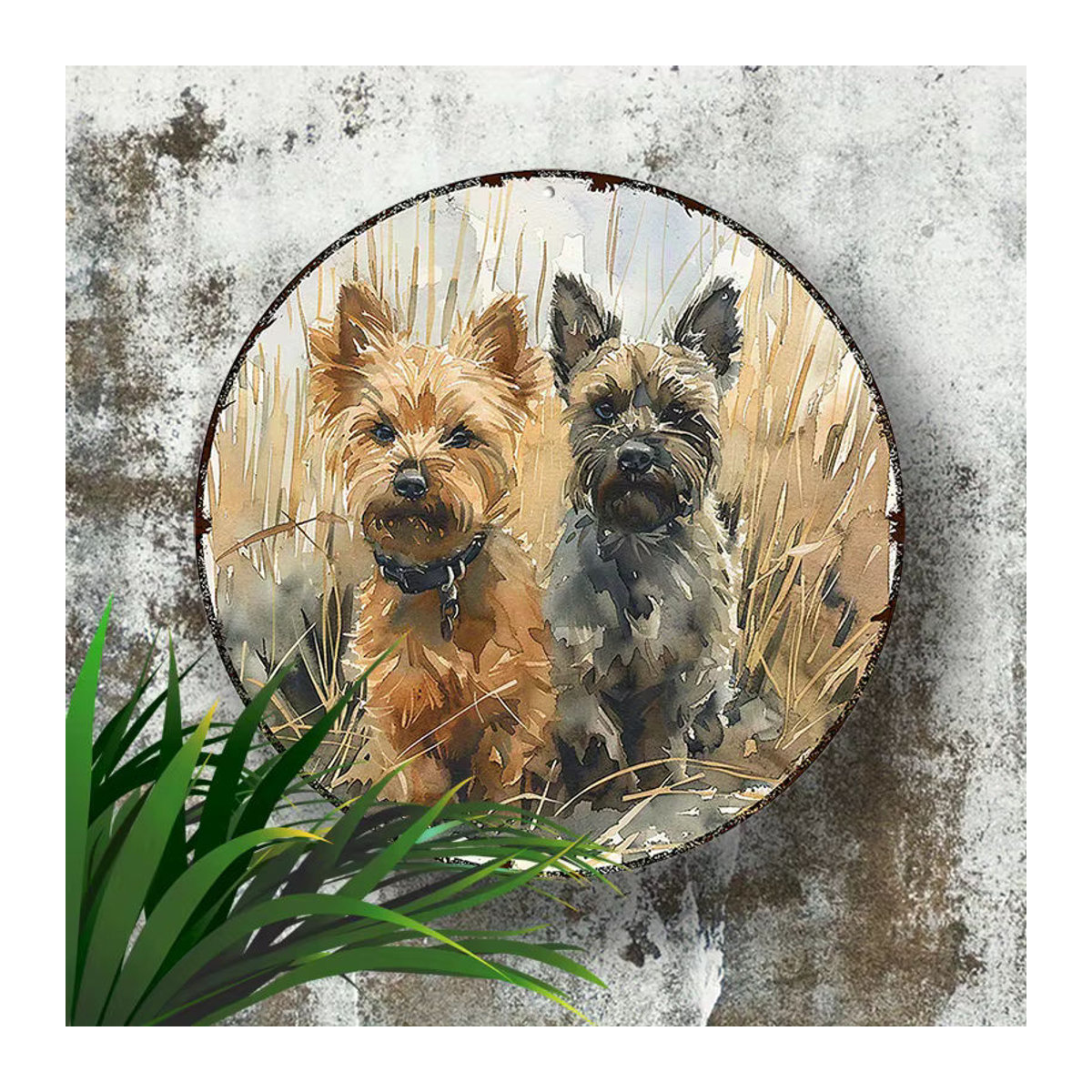 Rundes Aluminiumschild Cairn Terrier von Potdemiel, mehrfarbiges Metallschild für Haus und Garten, Durchmesser: 20,3 cm - Bild 4